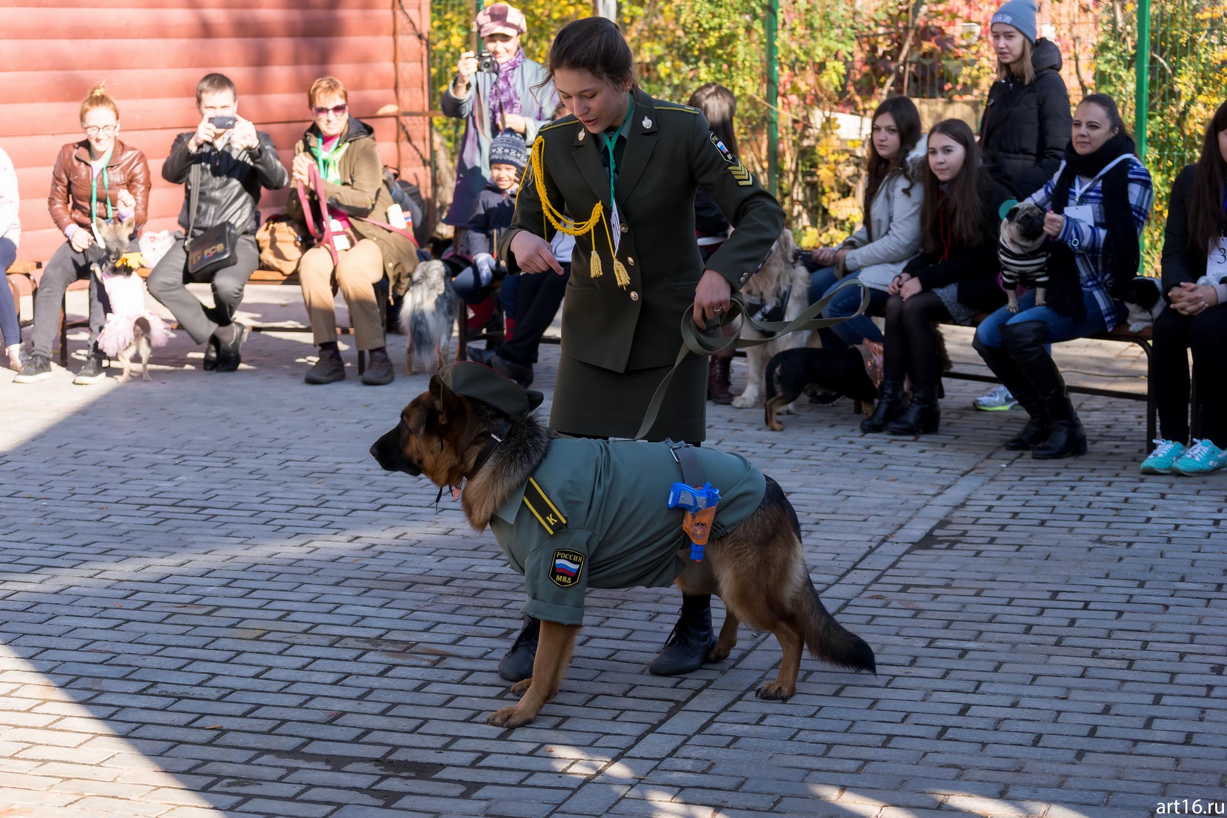 ::«Собачий бал» спортивно-развлекательное мероприятие для собак и человеков