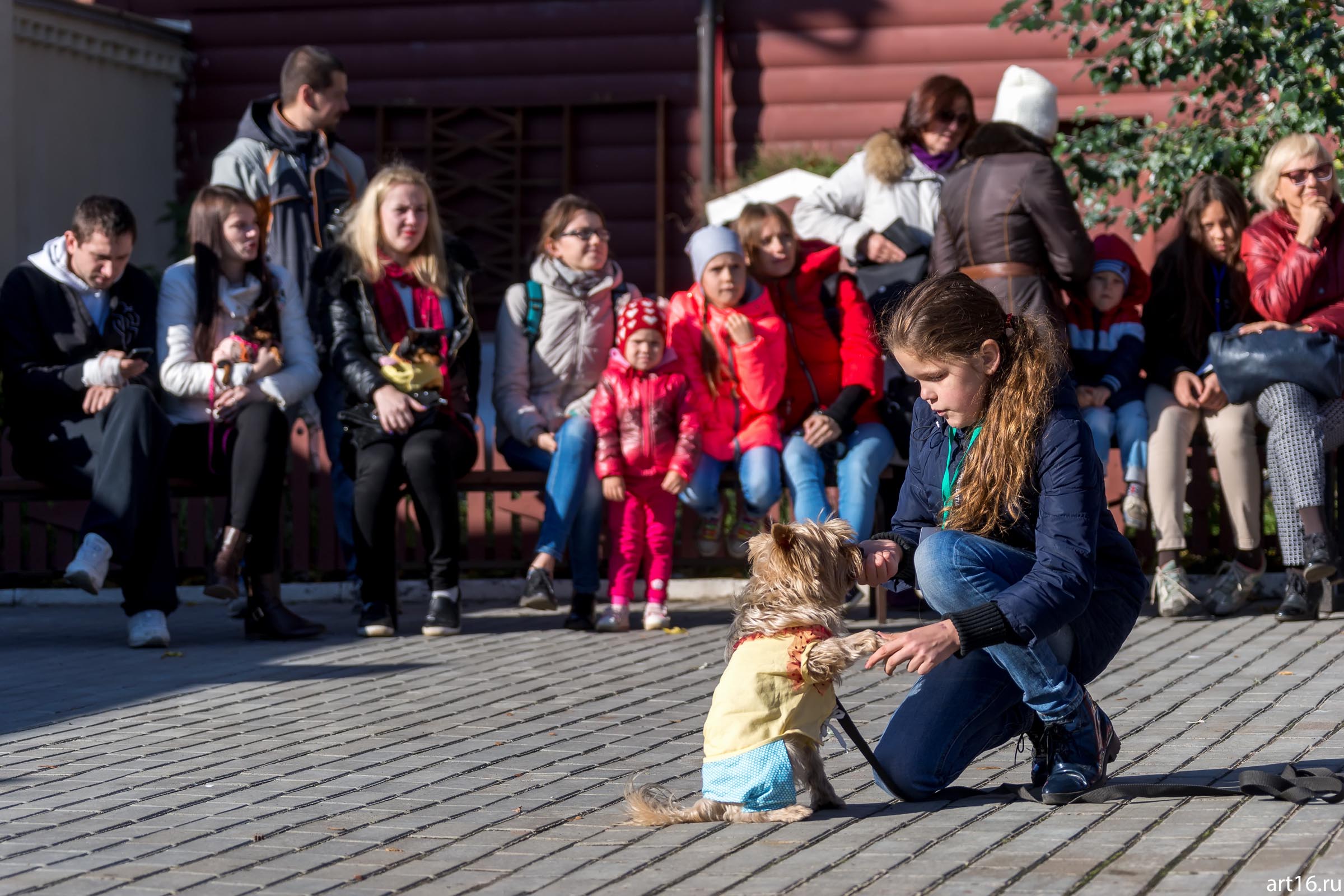 ::«Собачий бал» спортивно-развлекательное мероприятие для собак и человеков