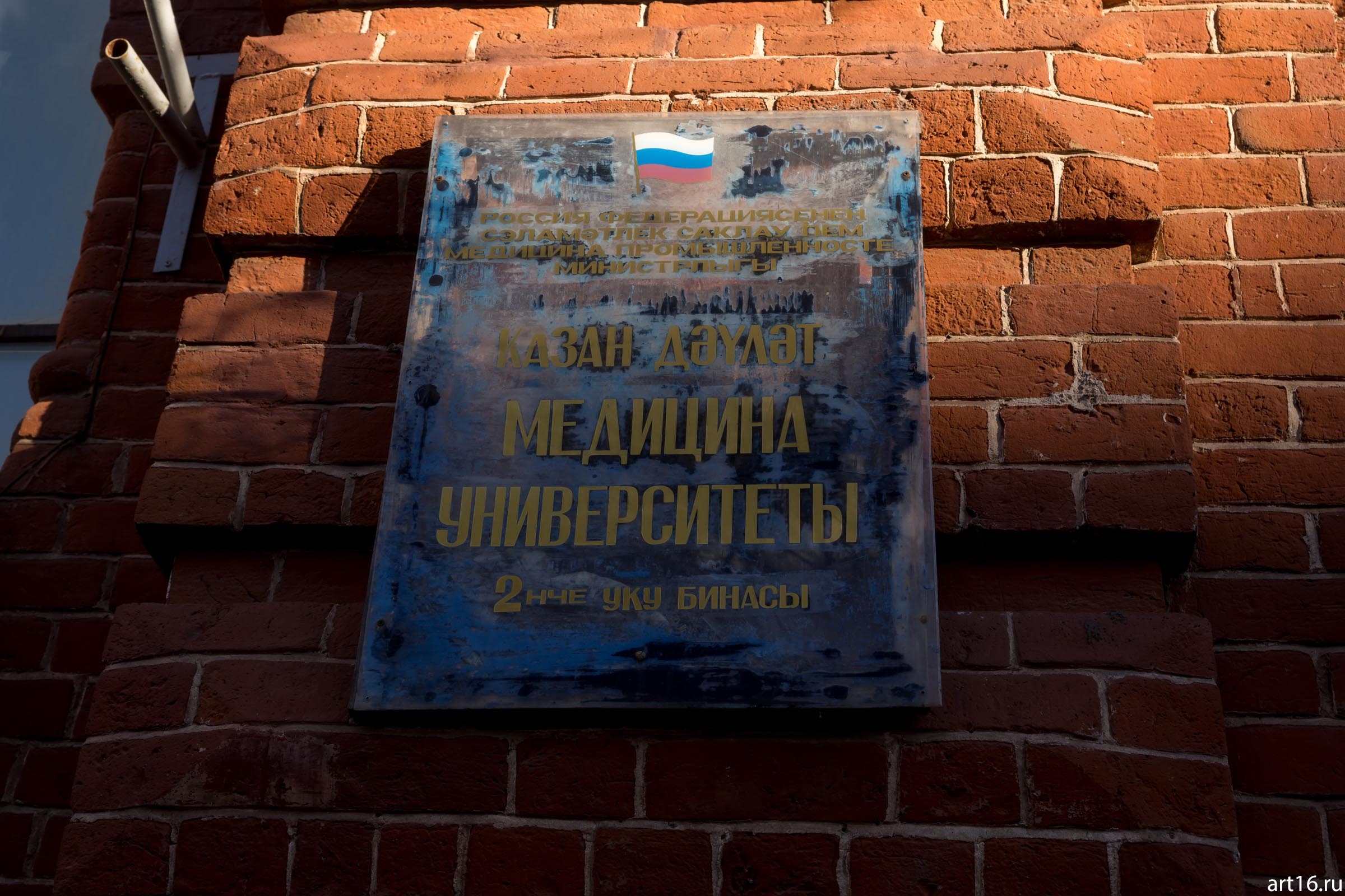 Информацтонная табличка на здании Казанского медицинского университета::Казань, осень, прогулка
