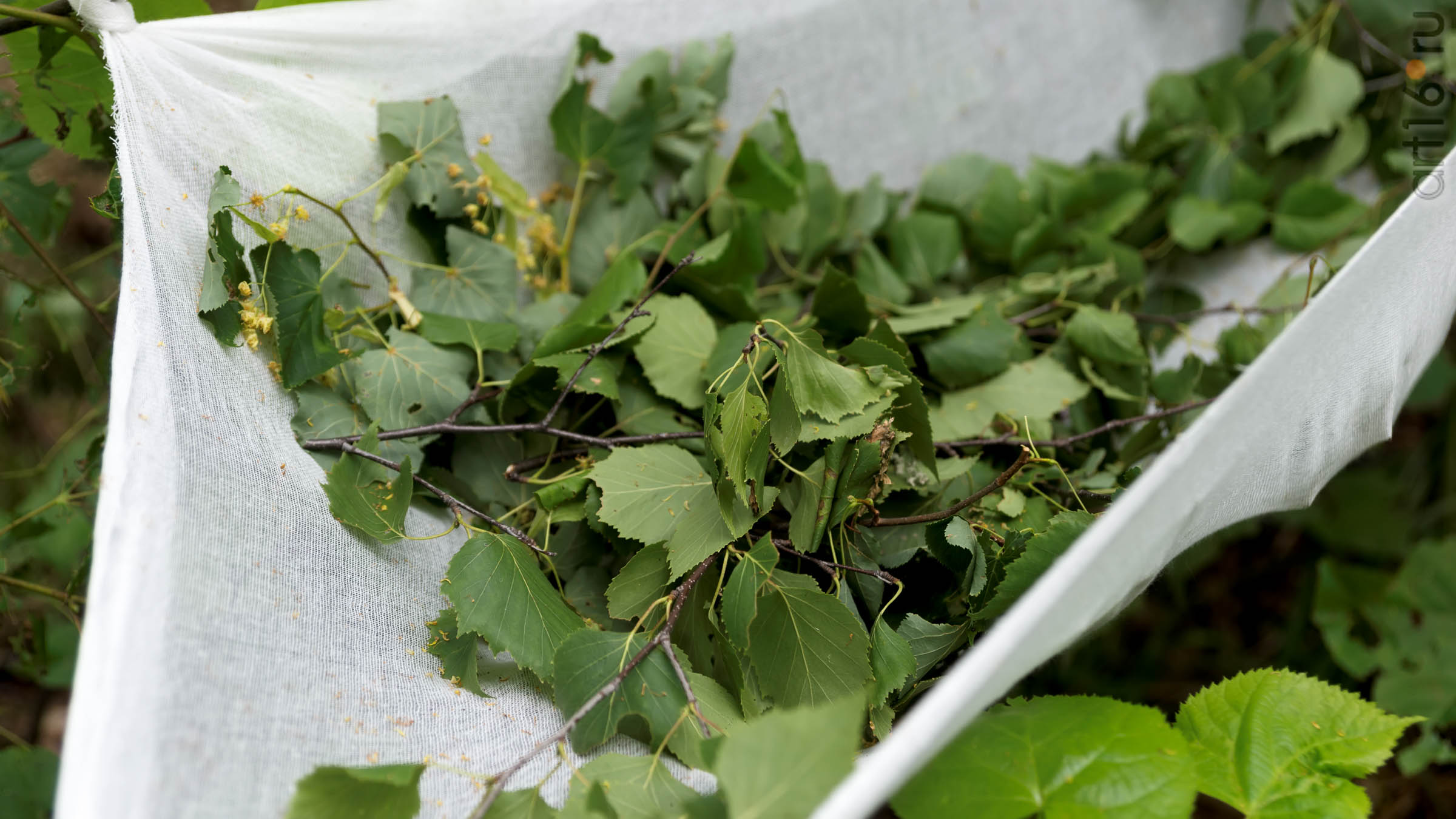 ::Детский лагерь Национального музея РТ «Новое поколение». Смена 2017