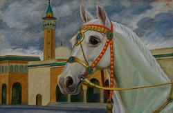 Тунис. Г. Монастир. Голова арабской лошади. 2004. Рушан Шмсутдинов