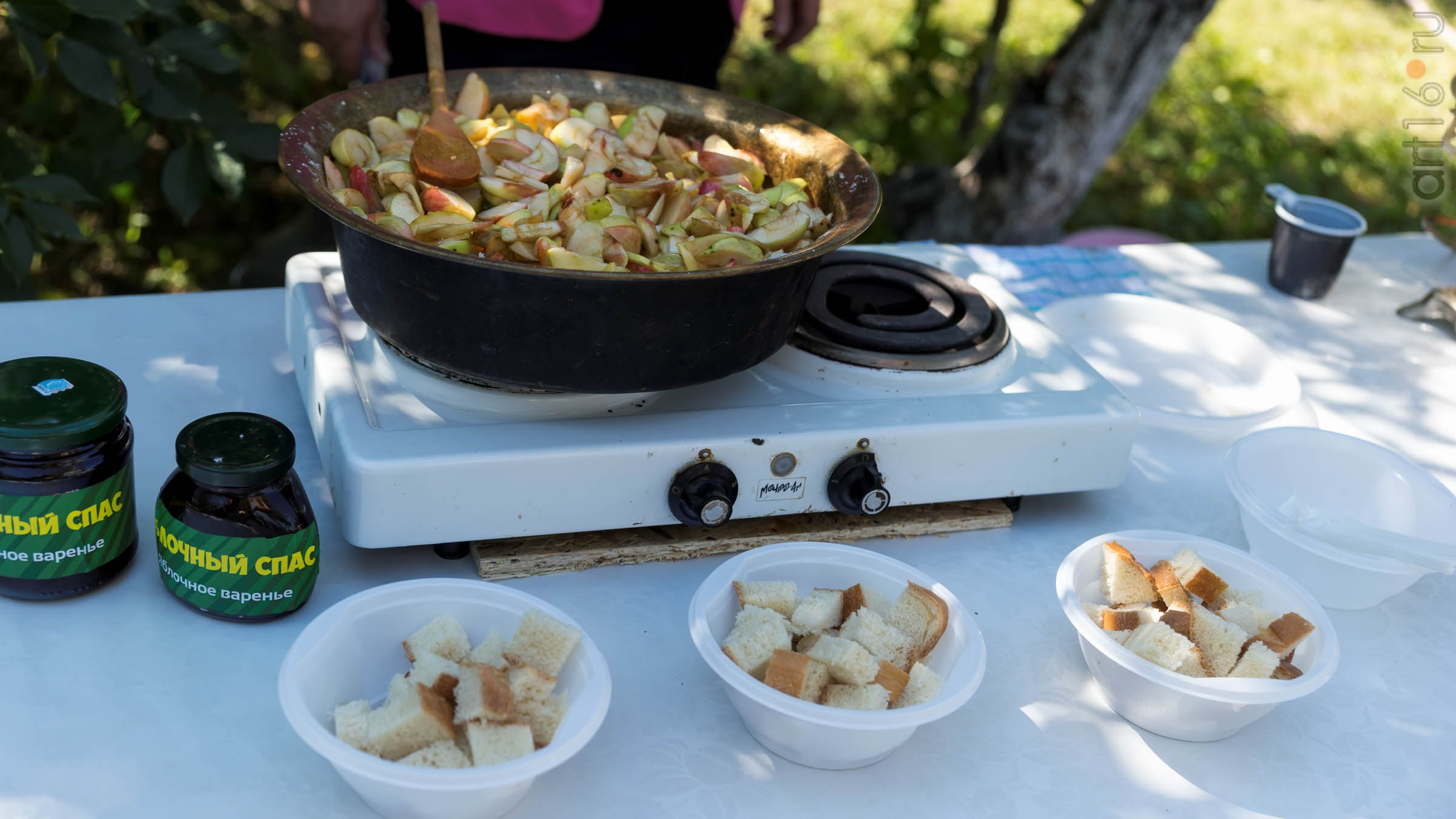 ::Яблочный Спас в Красновидово, 2017