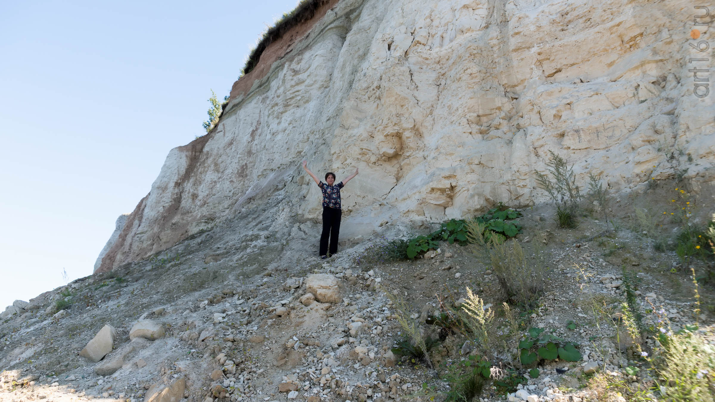 ::Яблочный Спас в Красновидово, 2017