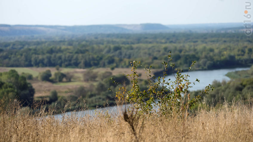 Фото №935222. Дивногорье. Вид с плато на долину реки Тихая Сосна