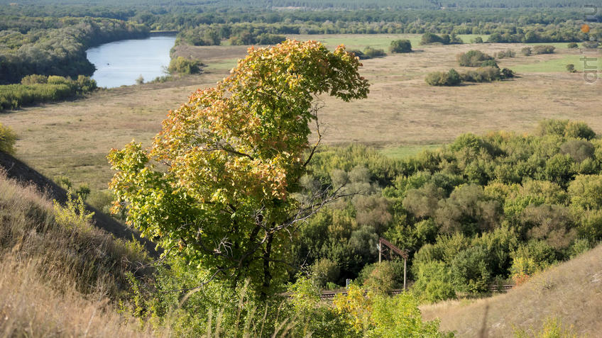 Вид с плато на долину реки Тихоя Сосна::Дивногорье. 2017 сентябрь