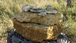 Известняк -  Фрагмент геолого-палеонтологической экспозиции