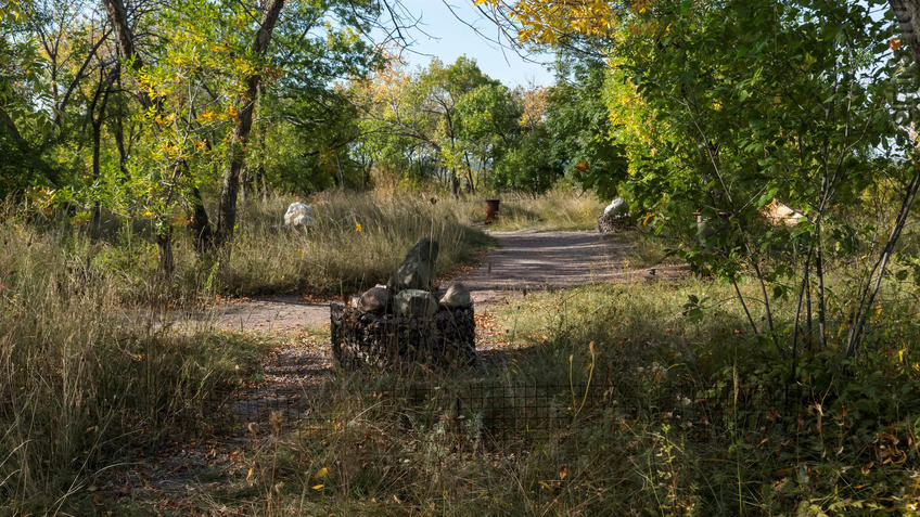 Фото №935397. Экспозиция геолого-палеонтологической экскурсии Дивногорья