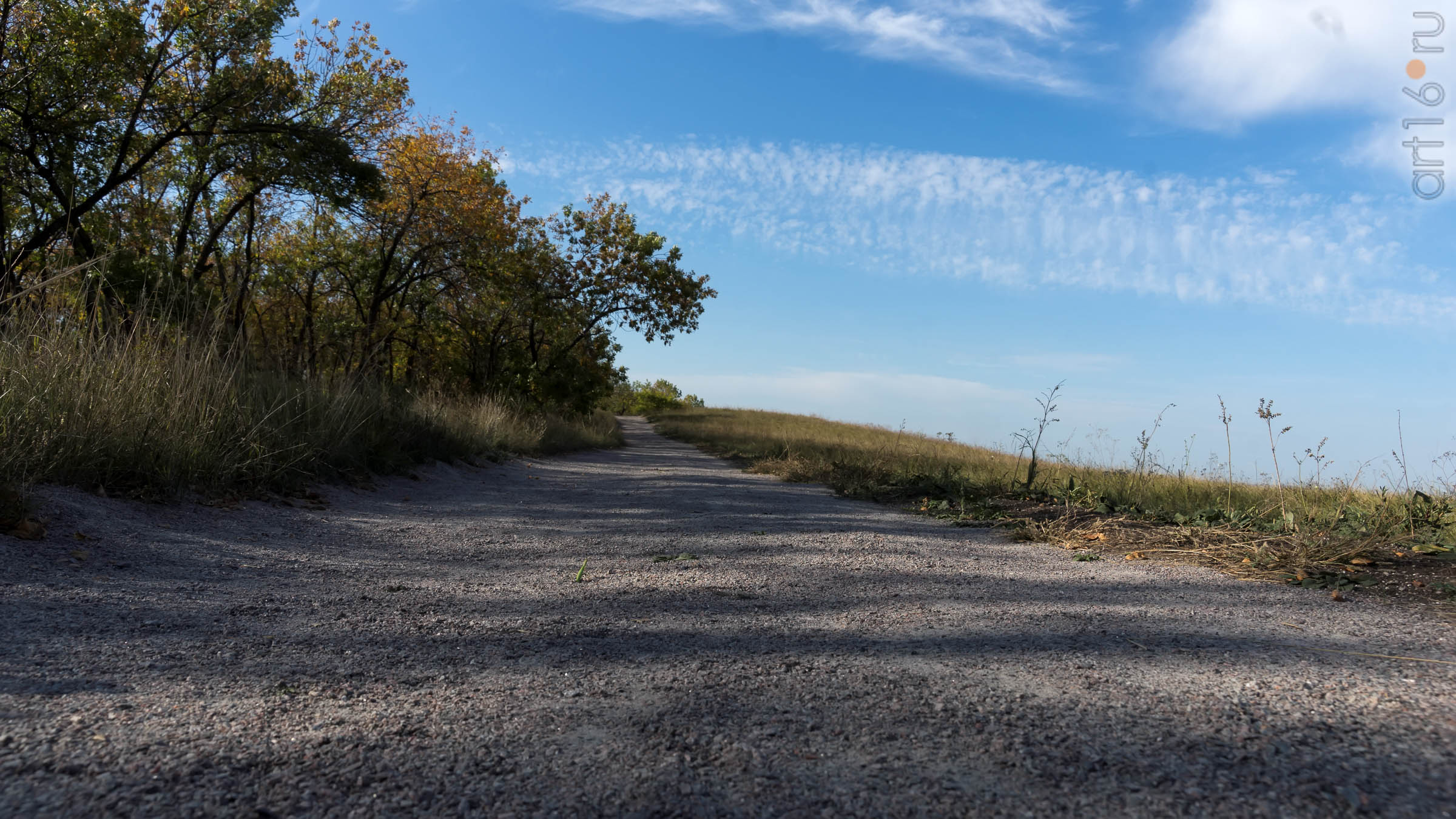 Дорожка вдоль посадок к археологическому парку ʺОт кочевий к городамʺ::Дивногорье. 2017 сентябрь