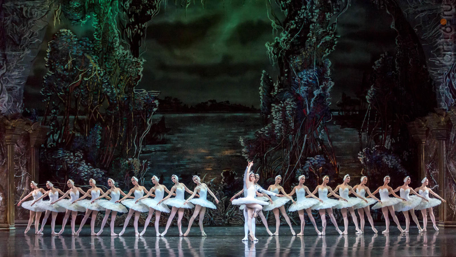 Фото балета лебединое озеро чайковского