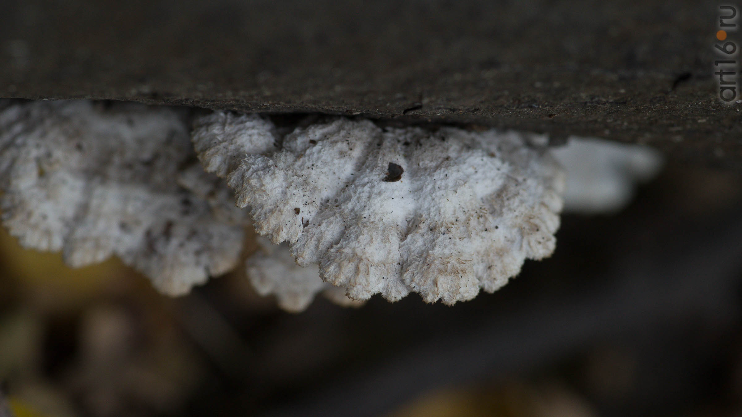 ::20190917. Природа