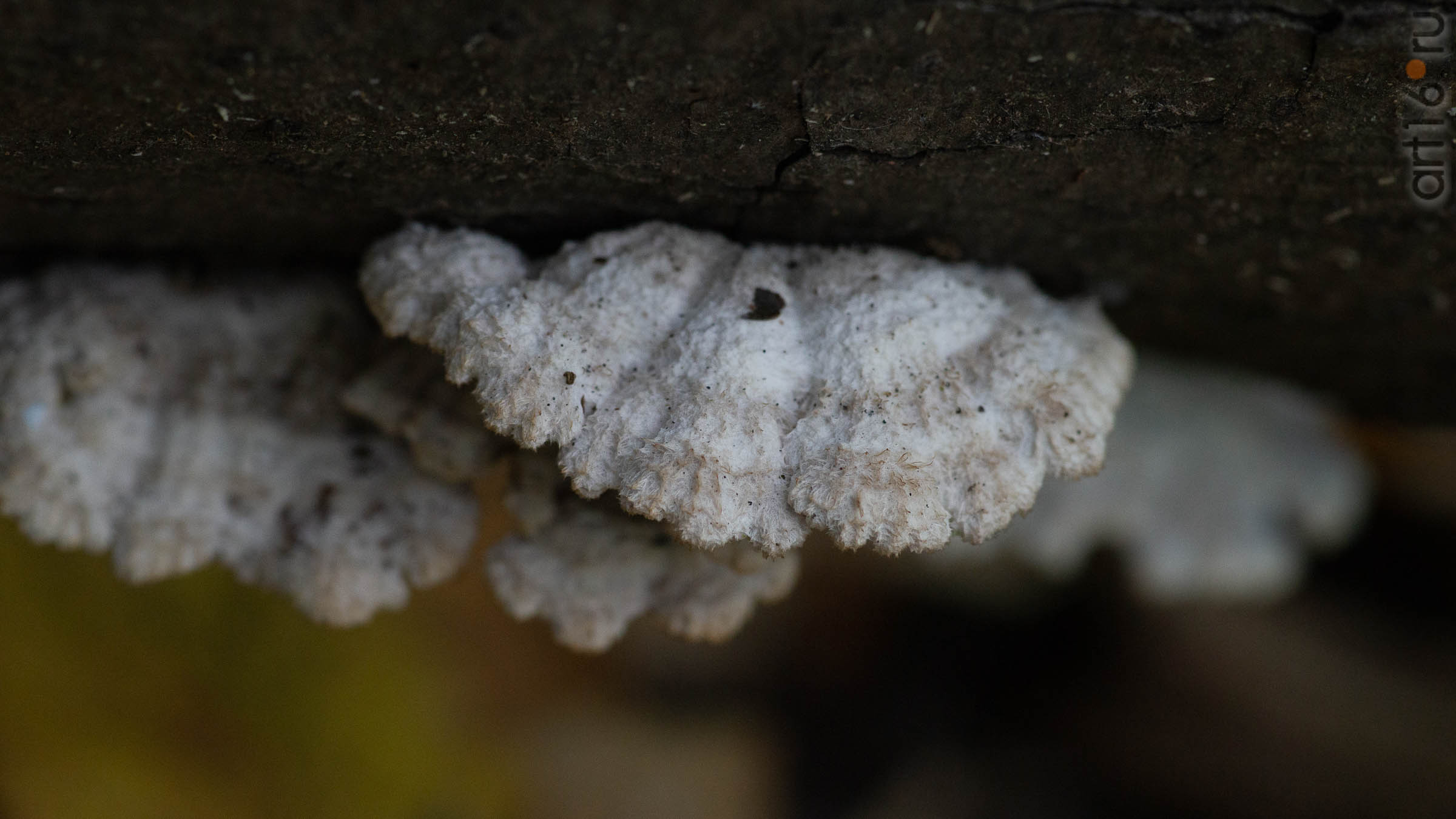 ::20190917. Природа