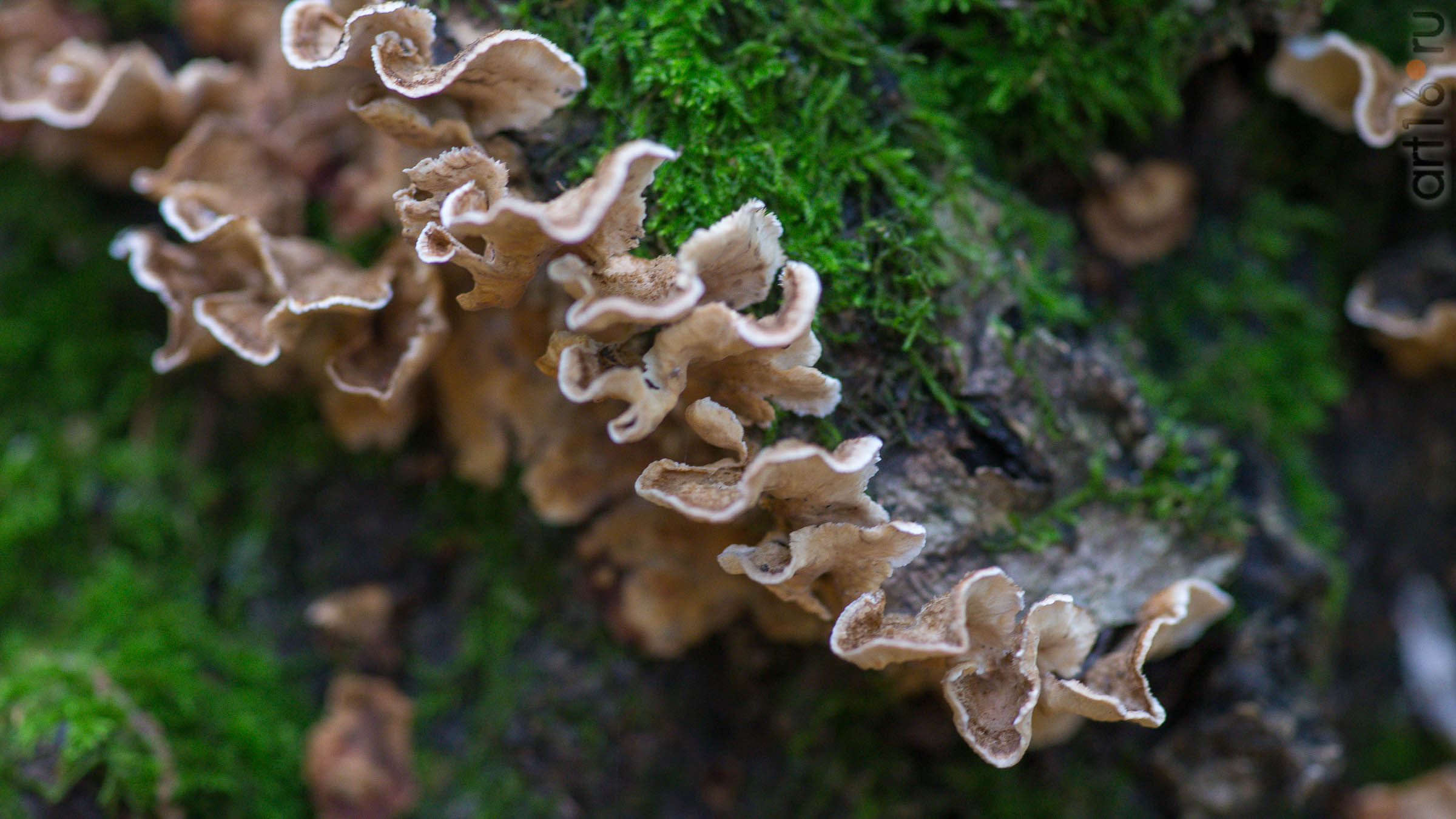 ::20190917. Природа