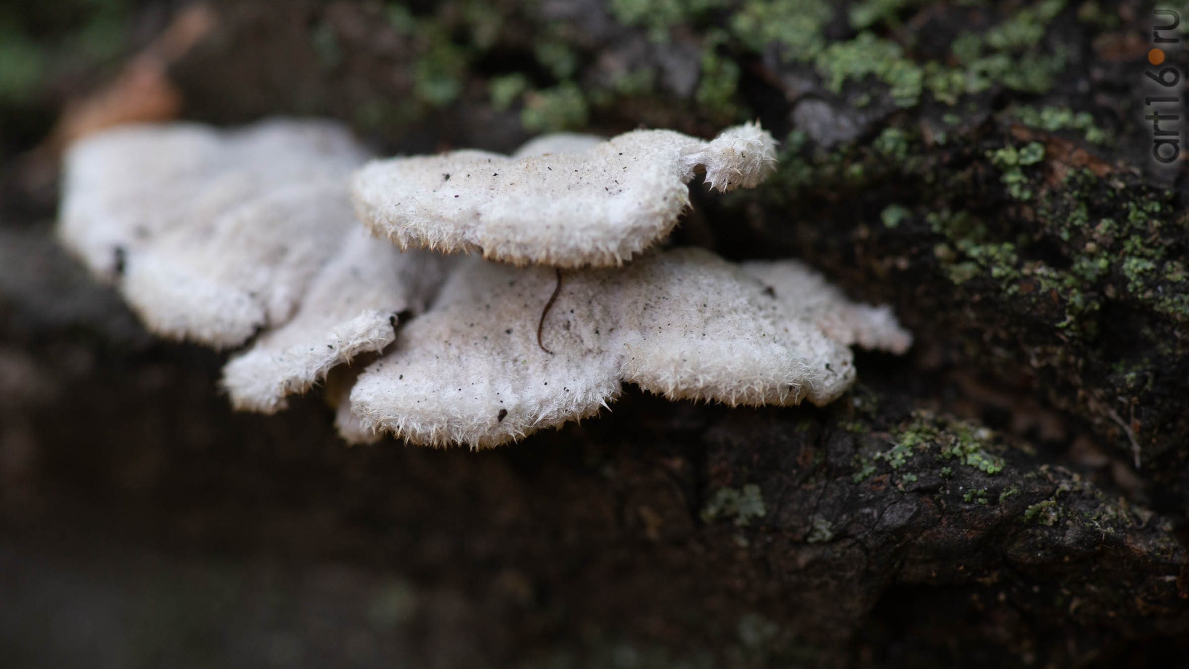 ::20190917. Природа