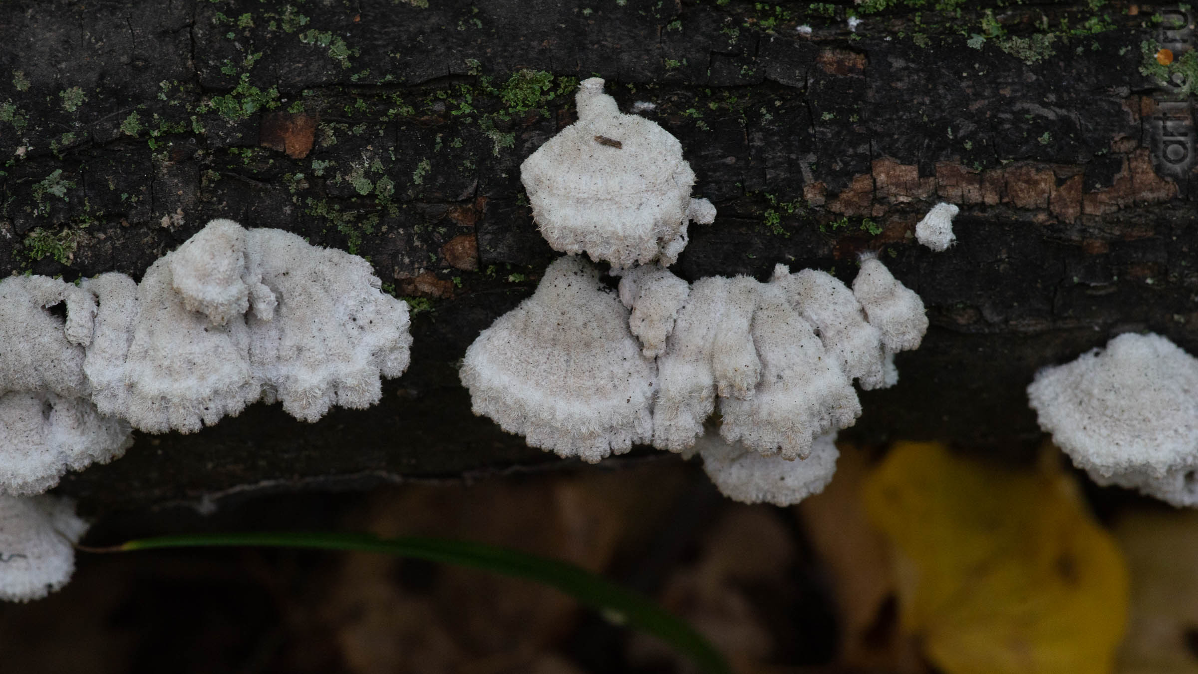 ::20190917. Природа