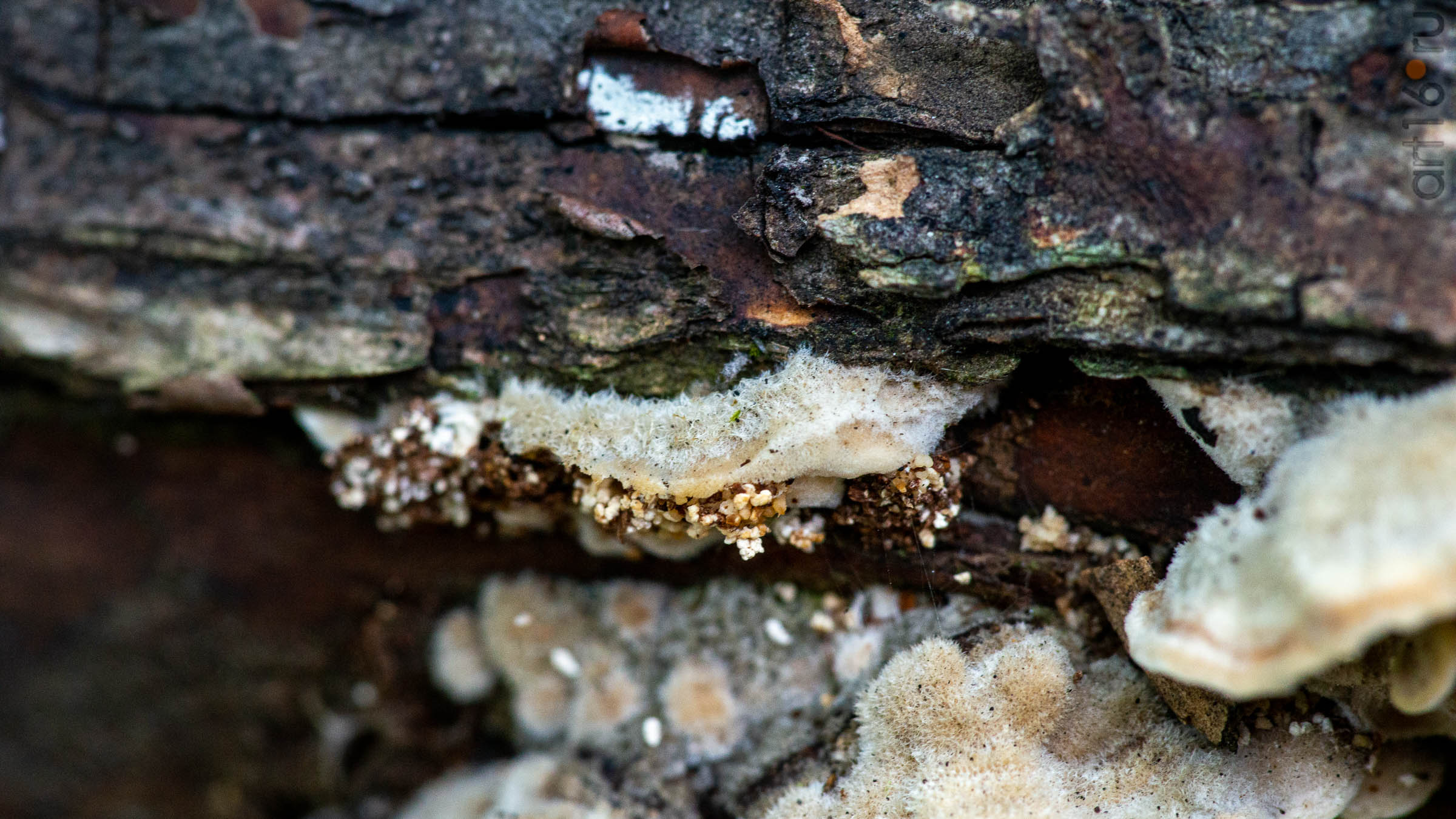 ::20190917. Природа