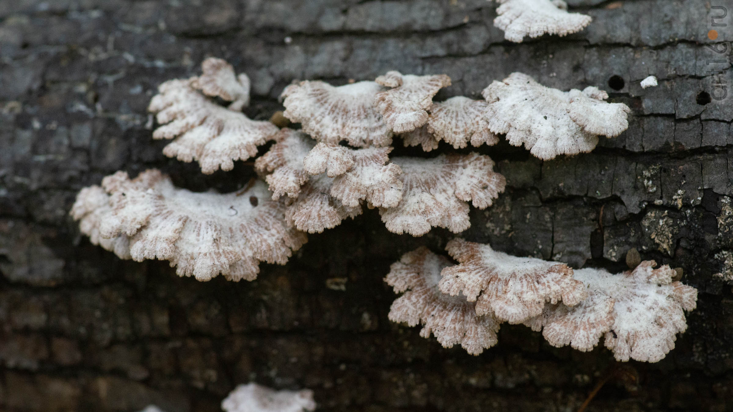 ::20190917. Природа