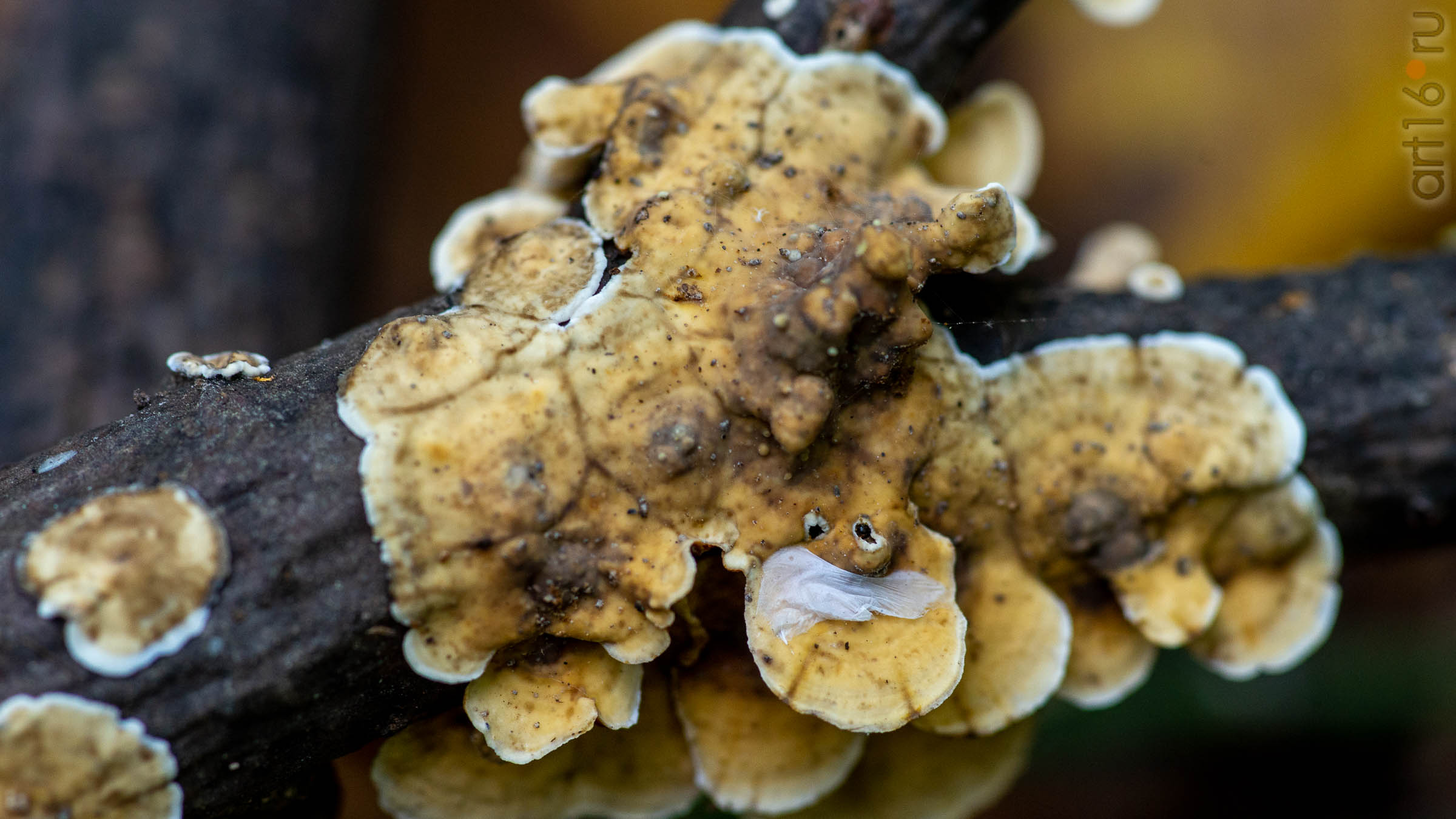 ::20190917. Природа