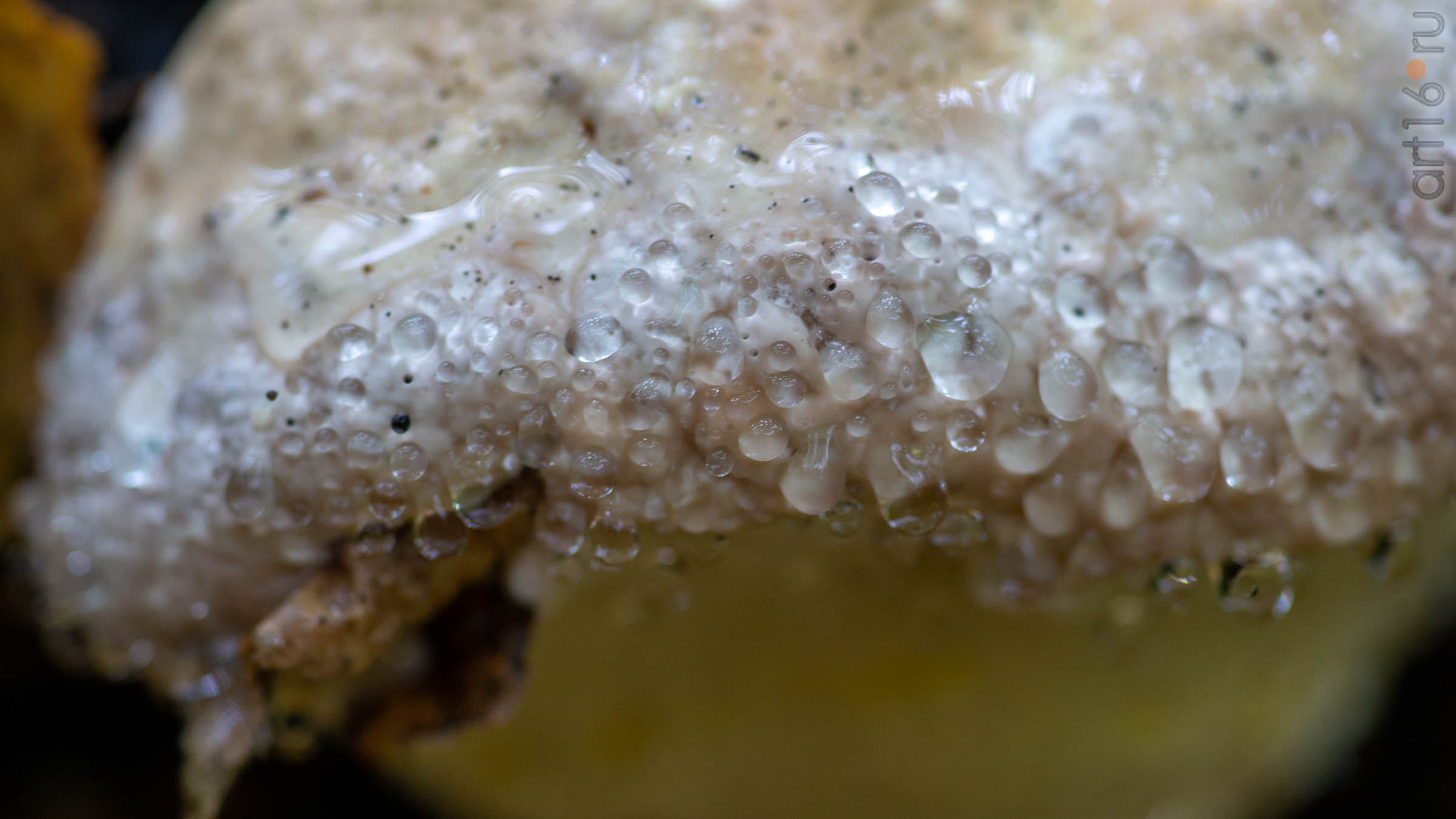 ::20190917. Природа