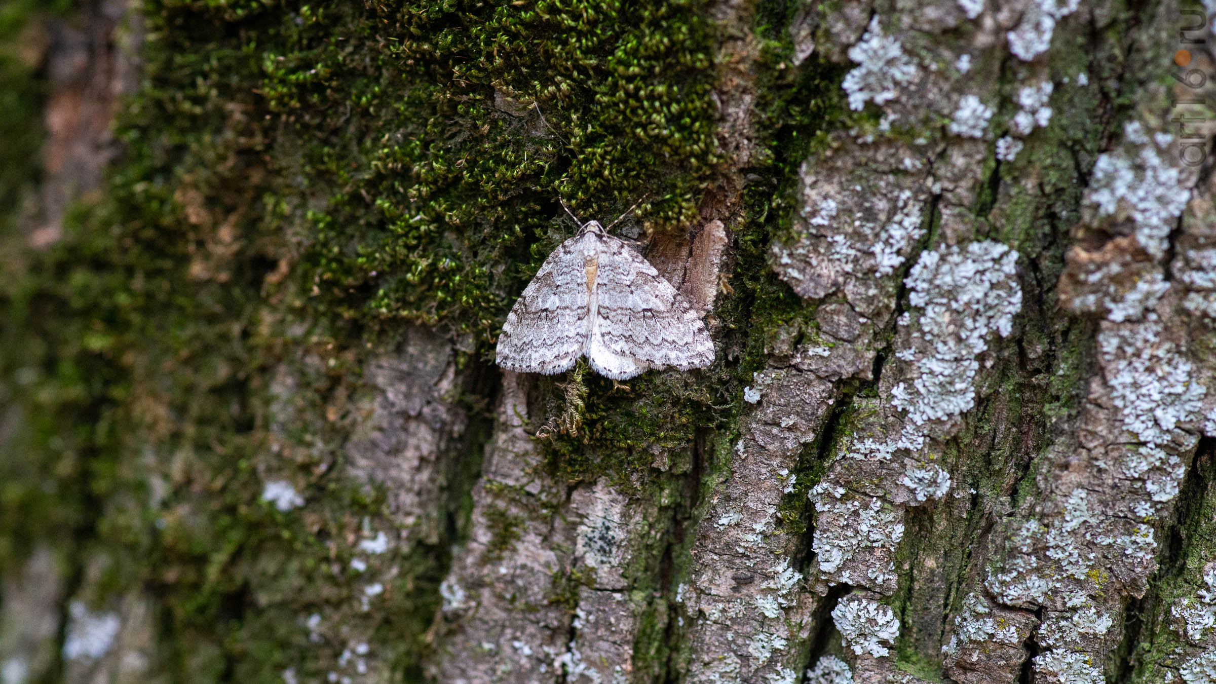 ::20190917. Природа