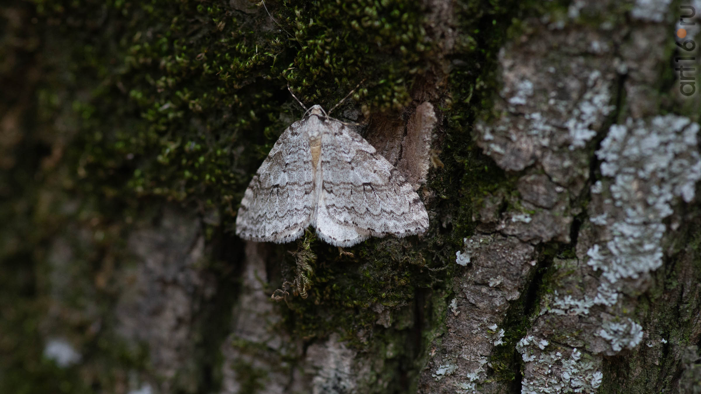 ::20190917. Природа