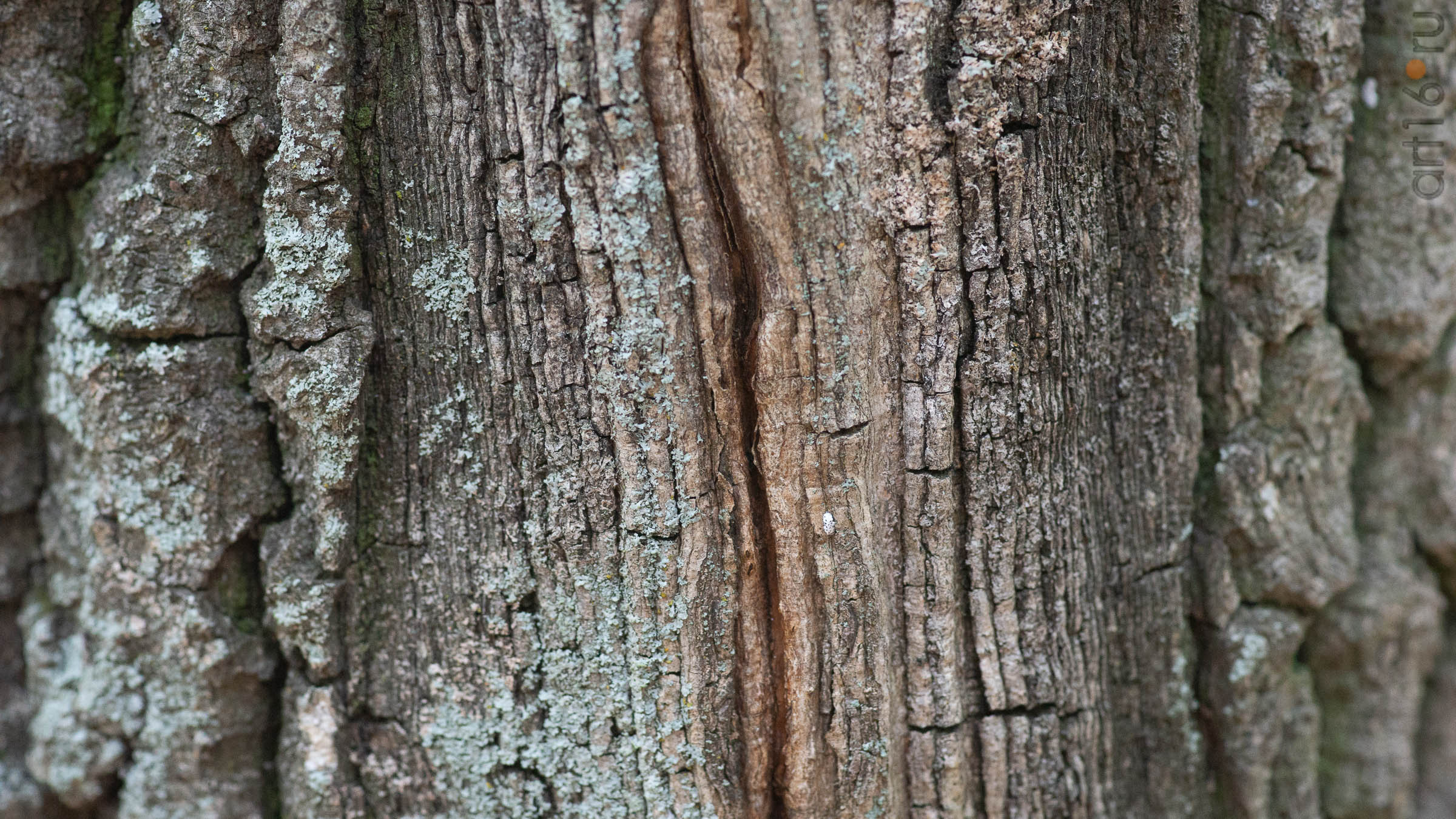 ::20190917. Природа