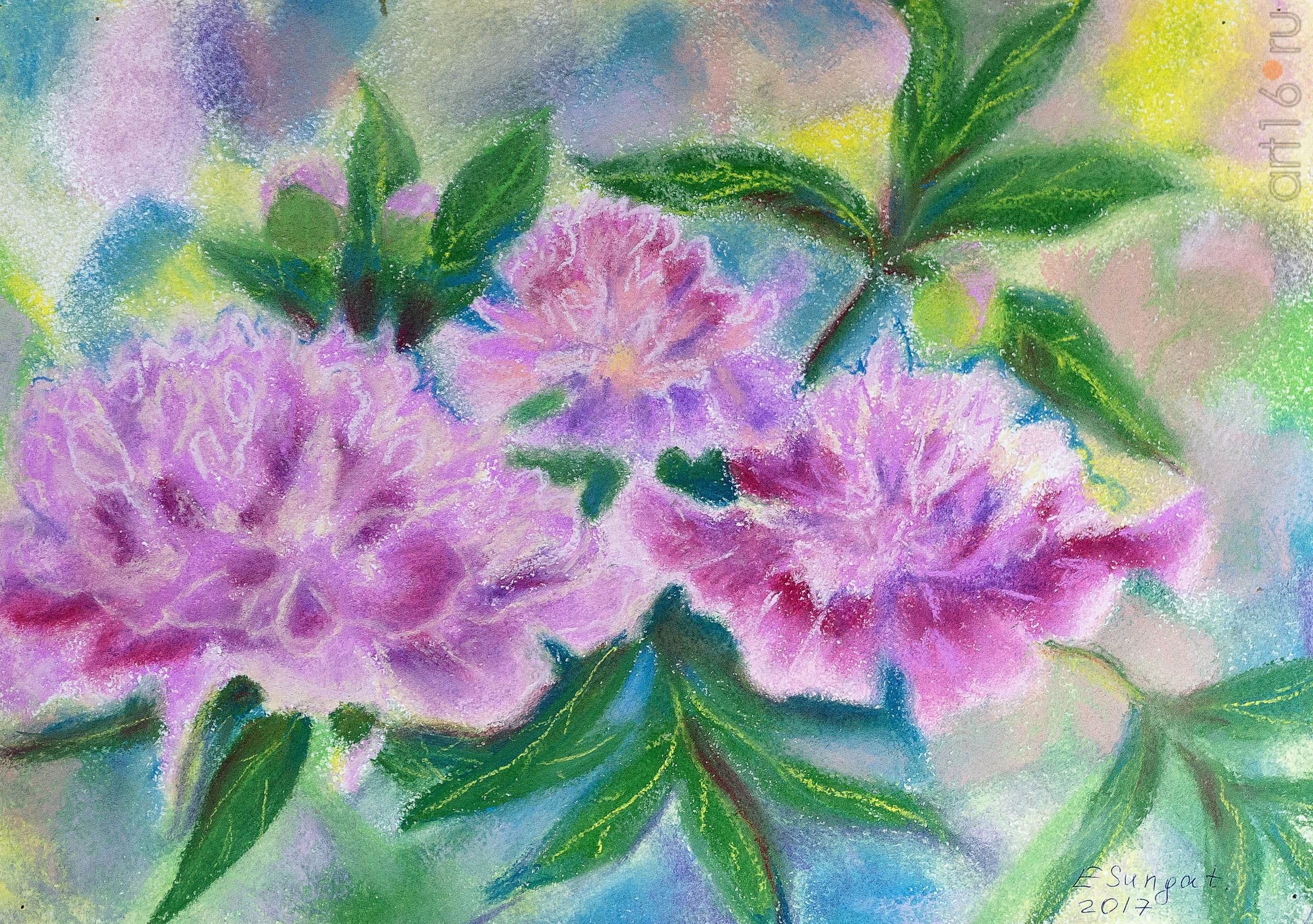 Пионы. 2017. Сунгатова Елена::Акварель. Пастель. Гуашь