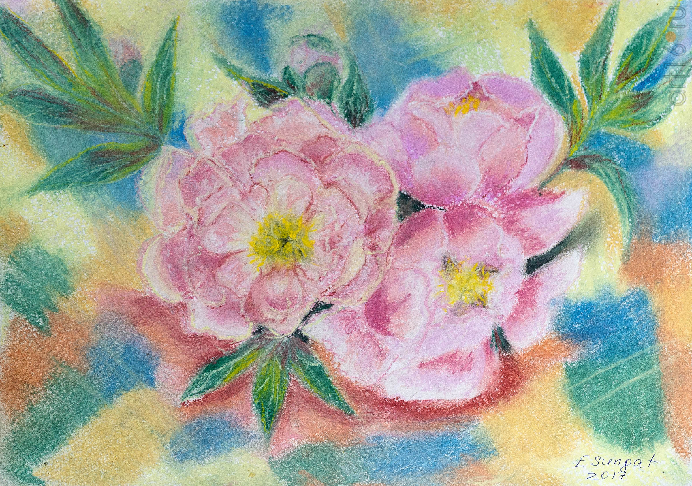 Шиповник. 2017. Сунгатова Елена::Акварель. Пастель. Гуашь