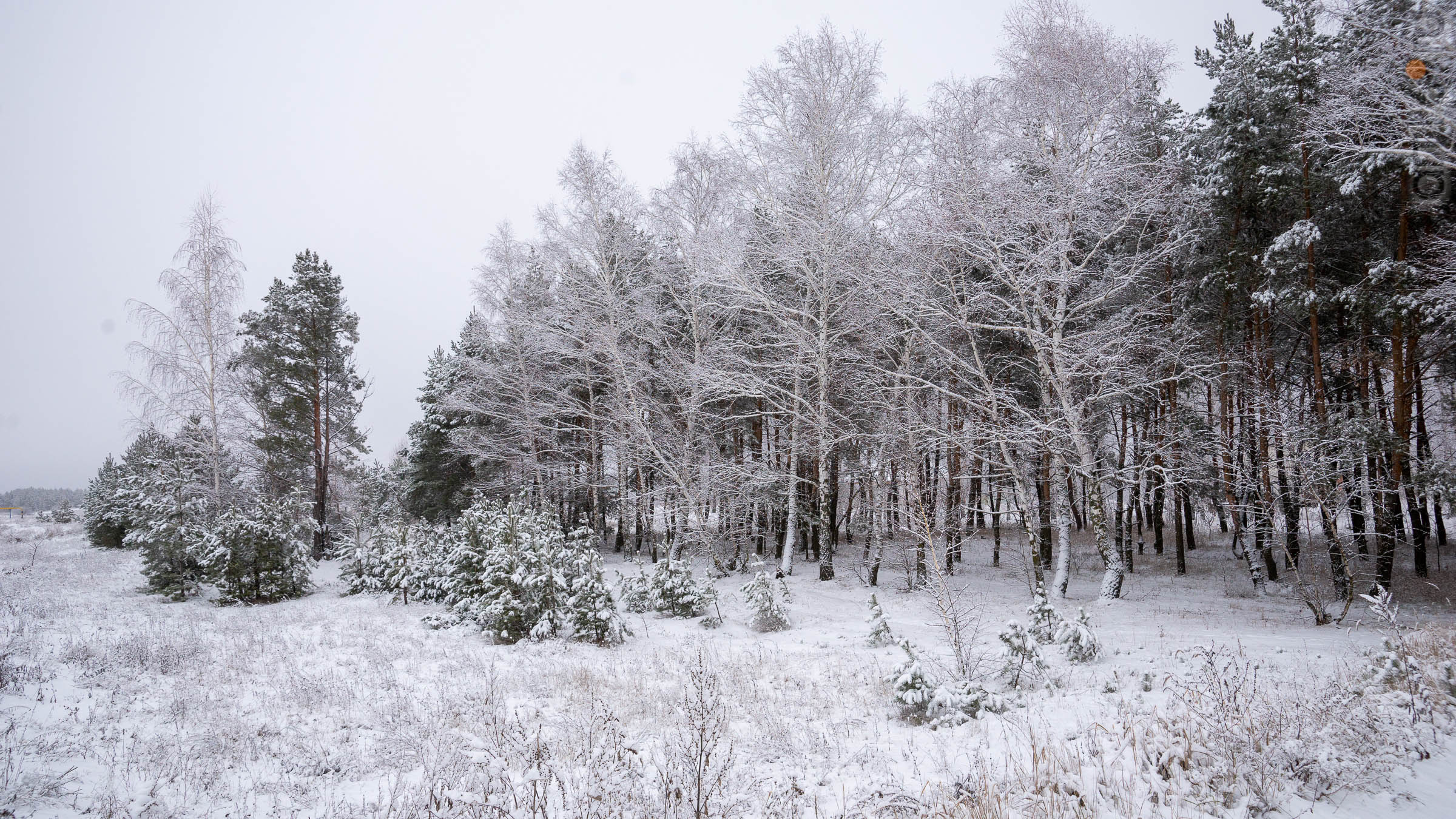 ::Балашов. Зимние пейзажи - 2020