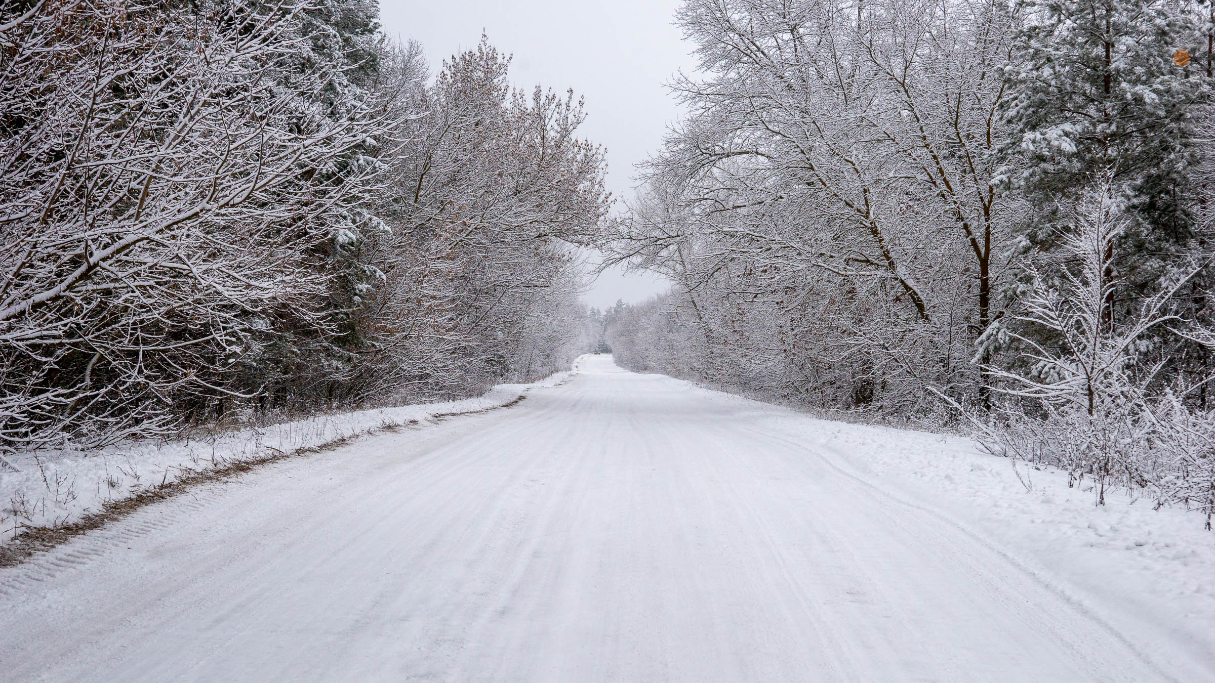 ::Балашов. Зимние пейзажи - 2020