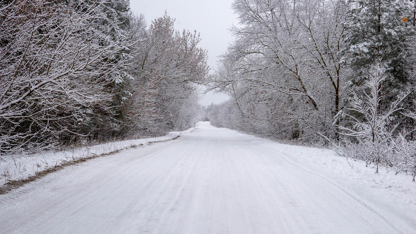 ::Балашов. Зимние пейзажи - 2020