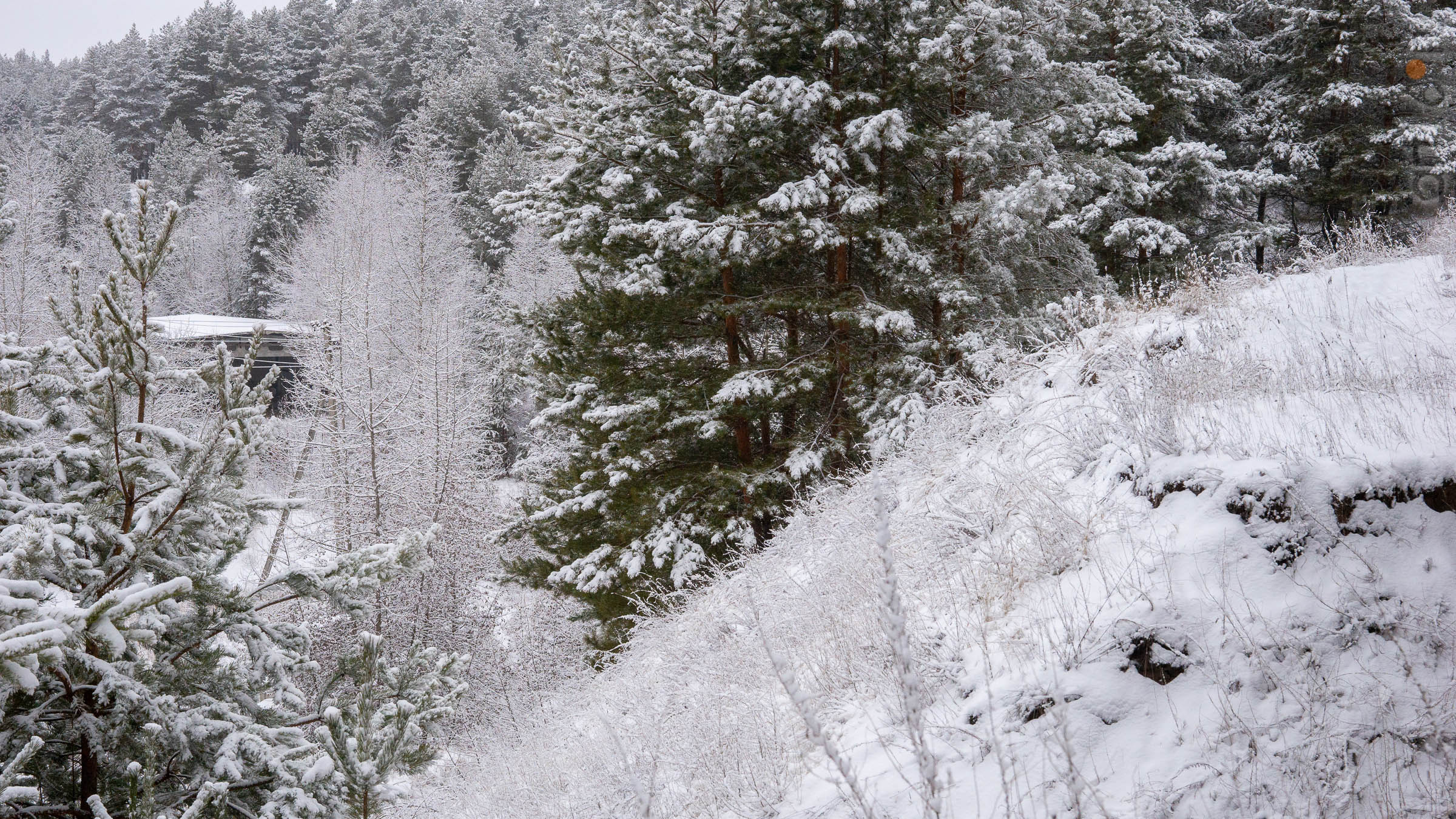 ::Балашов. Зимние пейзажи - 2020