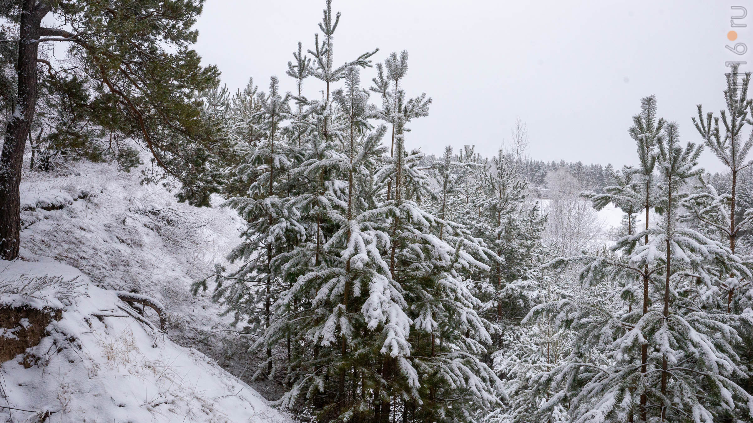 ::Балашов. Зимние пейзажи - 2020