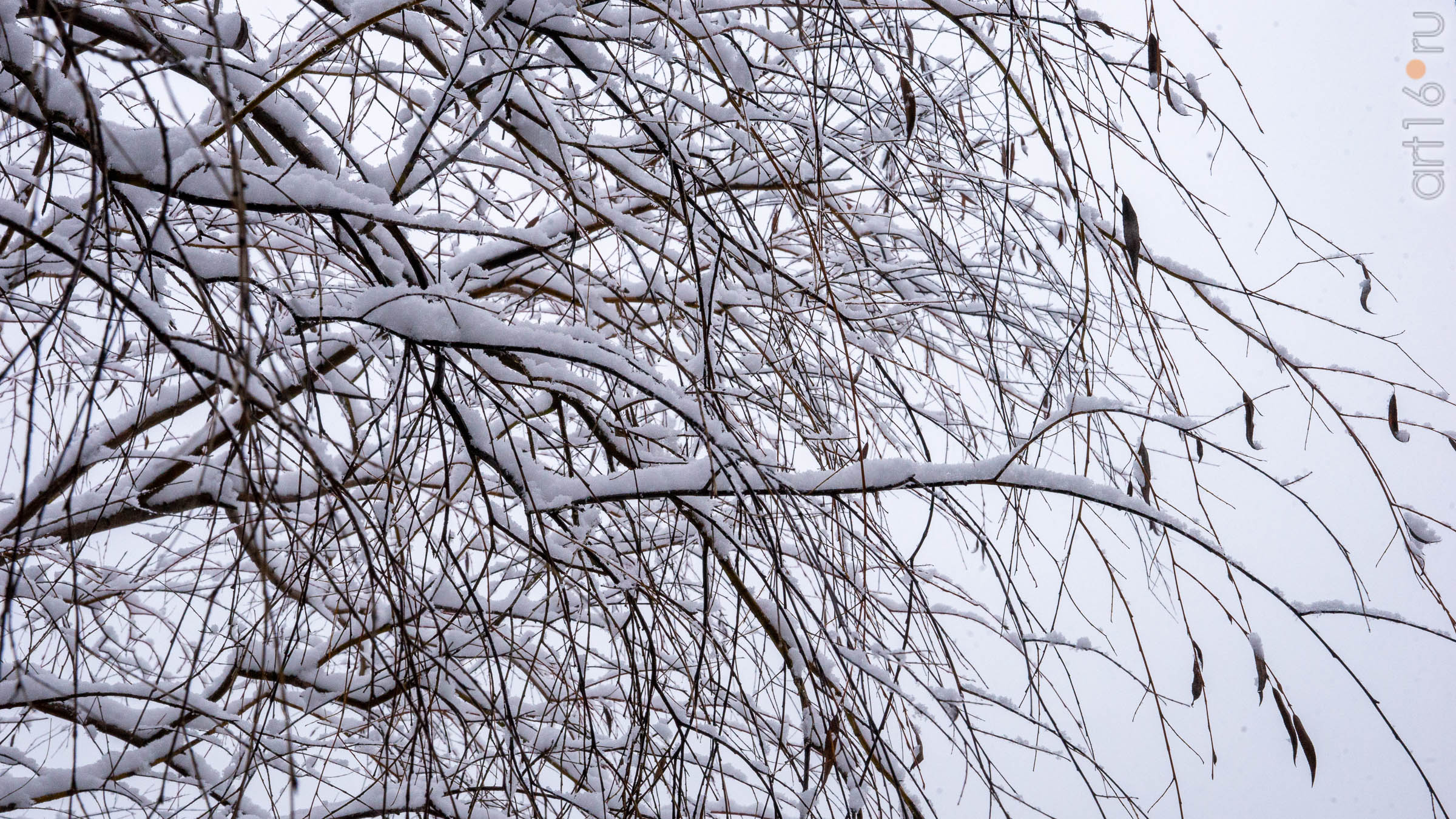 ::Балашов. Зимние пейзажи - 2020