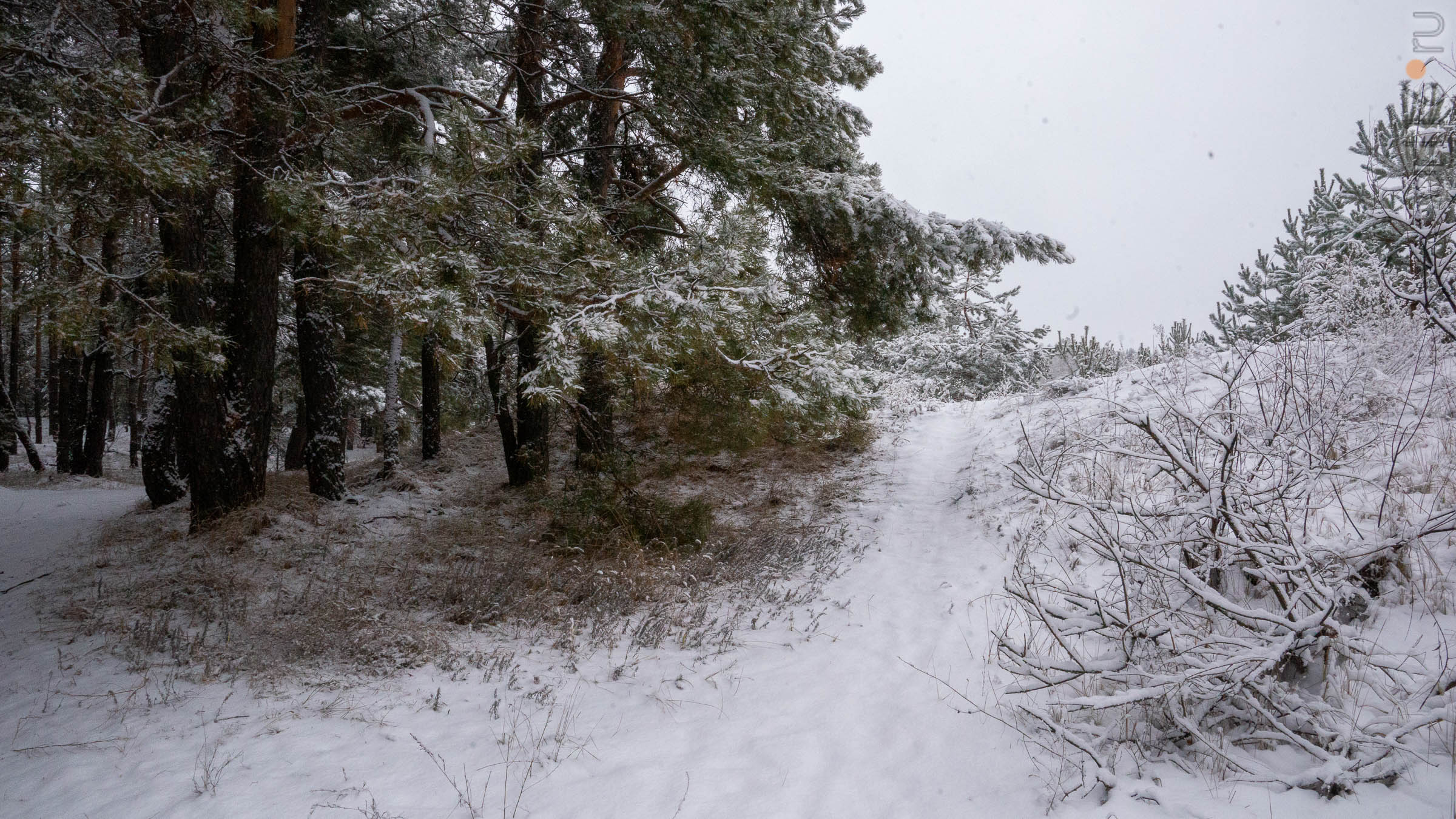 ::Балашов. Зимние пейзажи - 2020