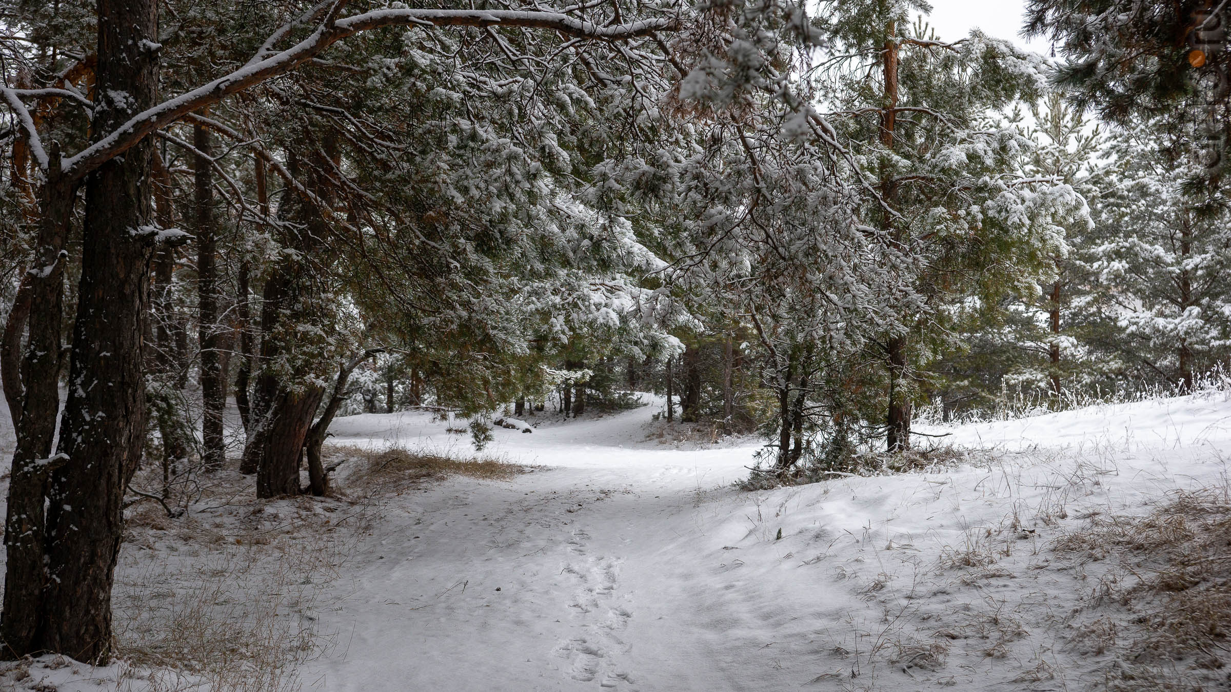 ::Балашов. Зимние пейзажи - 2020