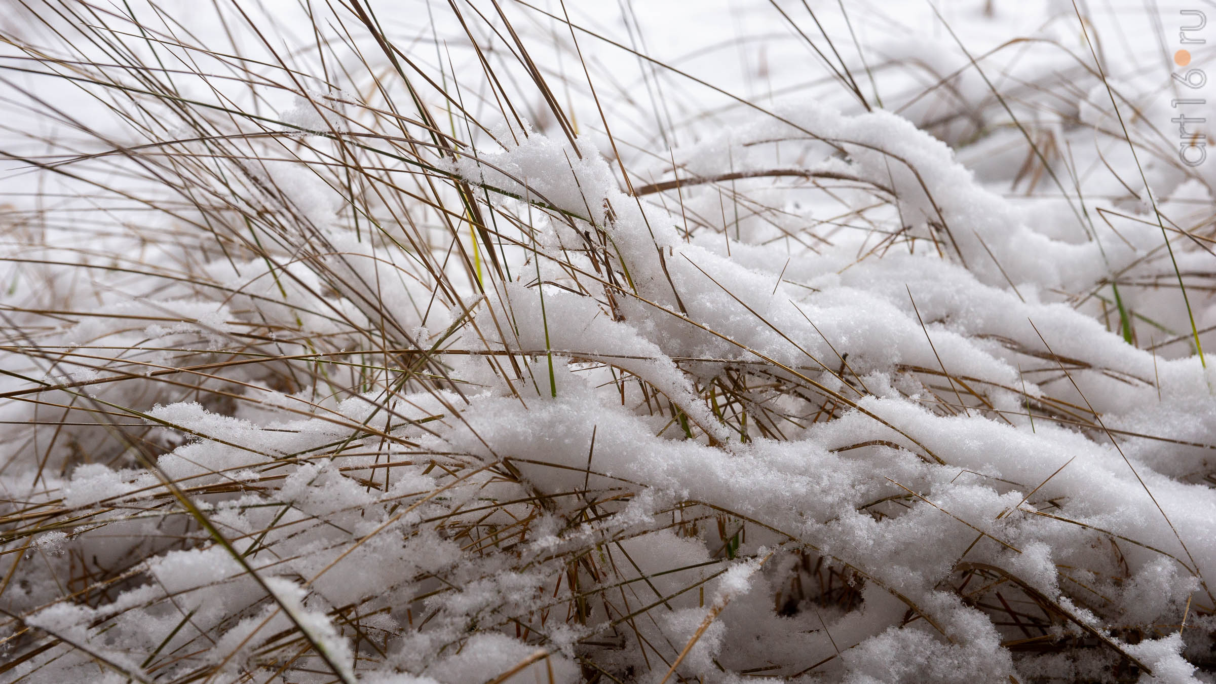 ::Балашов. Зимние пейзажи - 2020