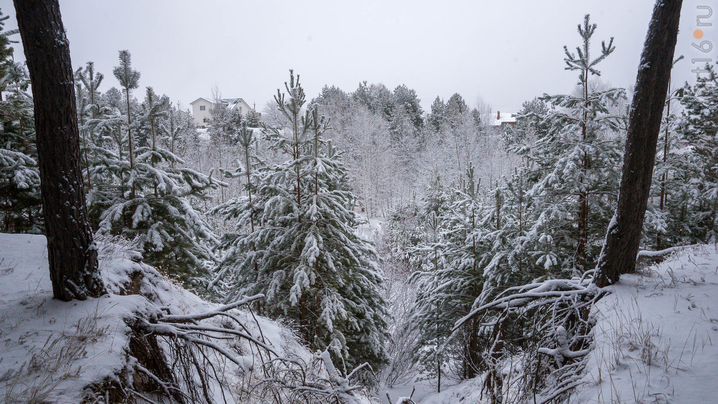 ::Балашов. Зимние пейзажи - 2020
