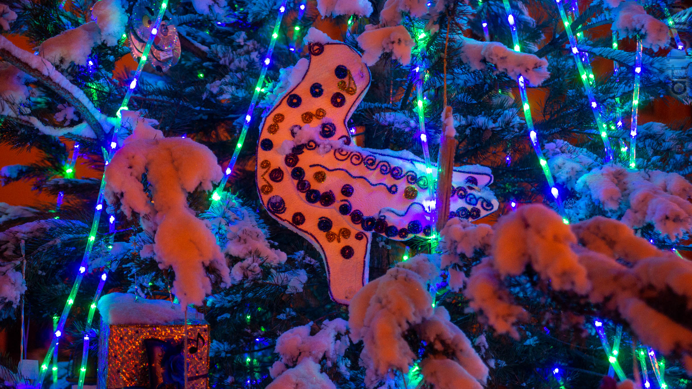 ::Балашов. Зимние пейзажи - 2020