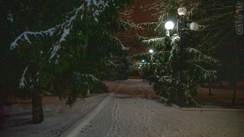 ::Балашов. Зимние пейзажи - 2020