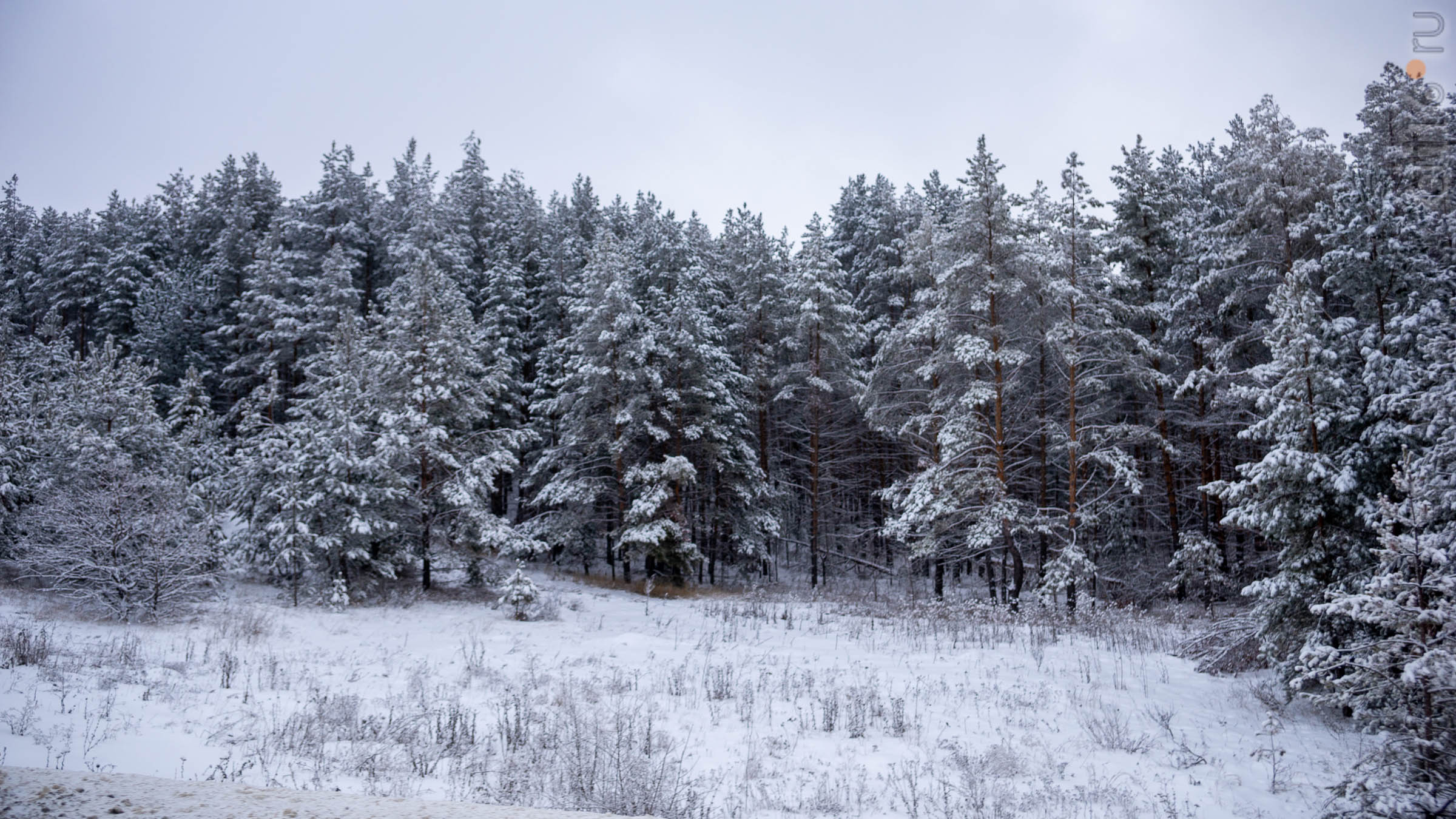 ::Балашов. Зимние пейзажи - 2020