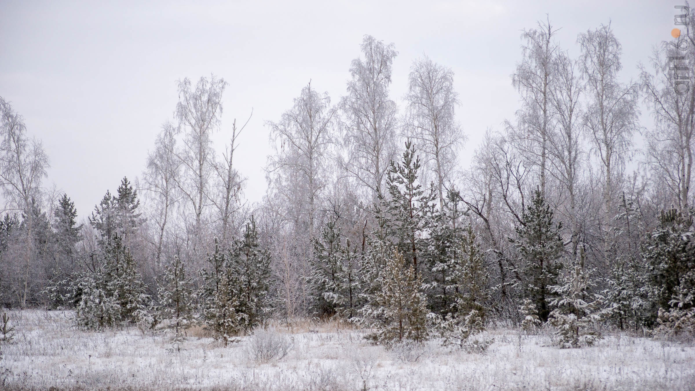 ::Балашов. Зимние пейзажи - 2020