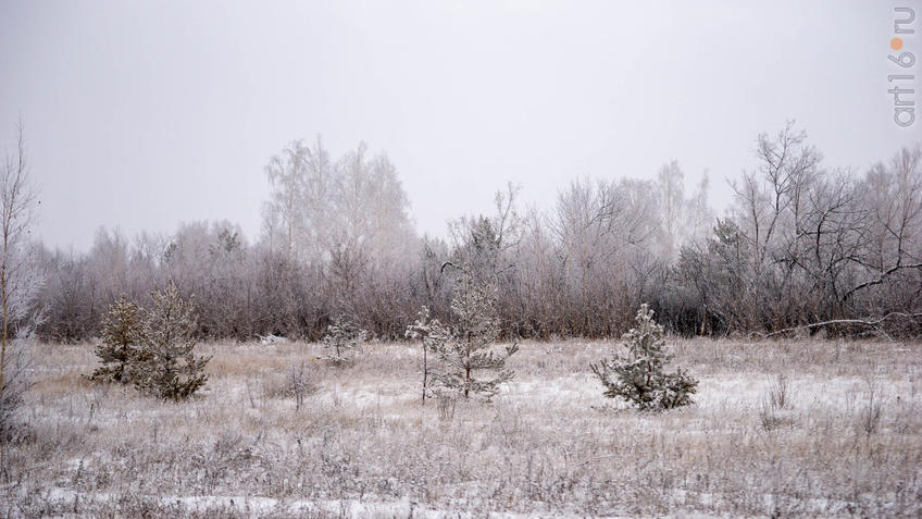 ::Балашов. Зимние пейзажи - 2020
