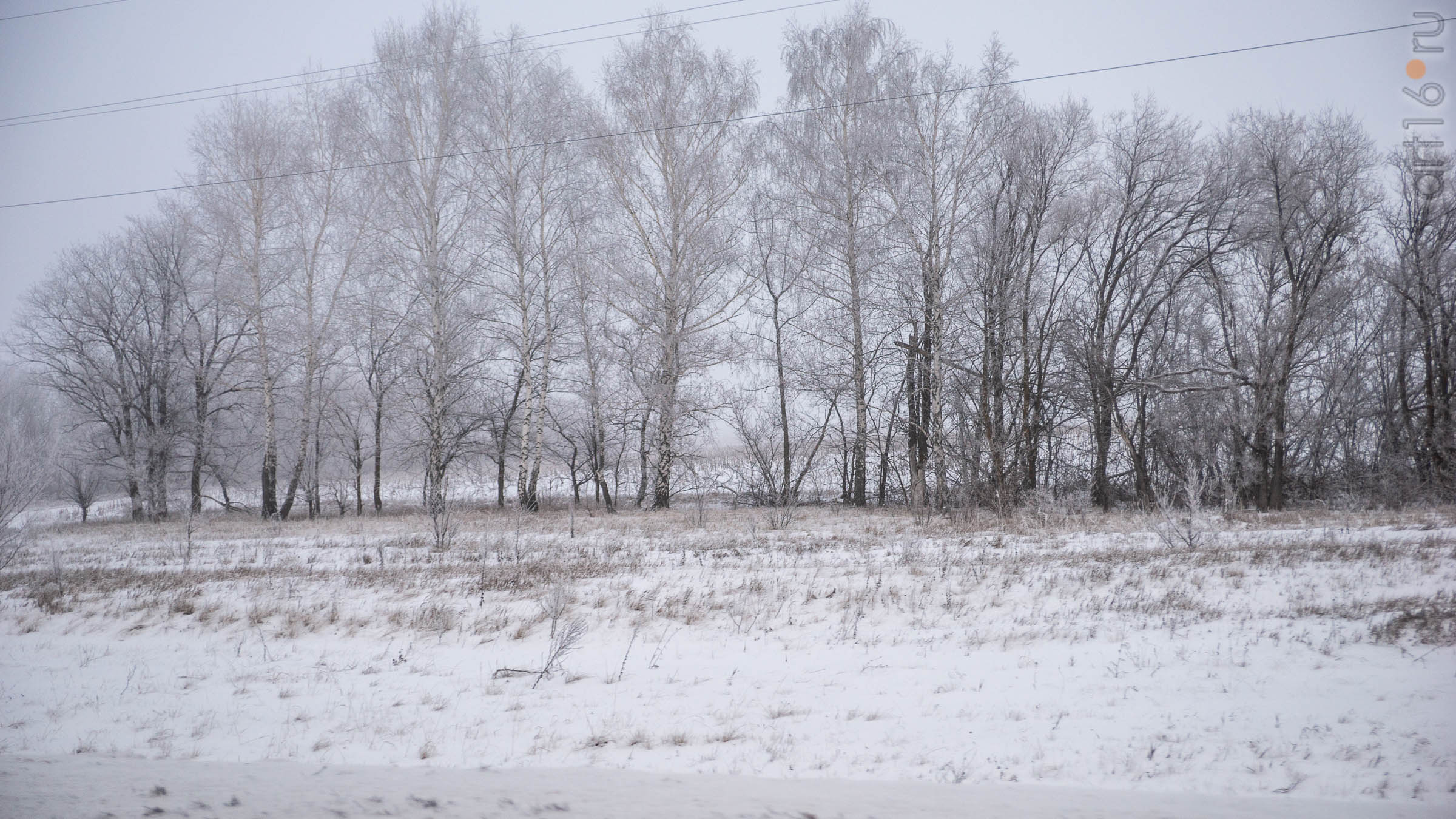 ::Балашов. Зимние пейзажи - 2020