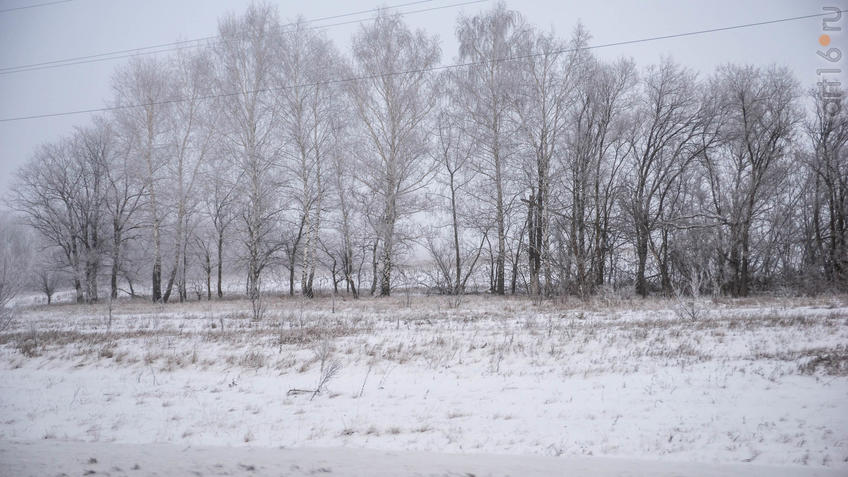 ::Балашов. Зимние пейзажи - 2020