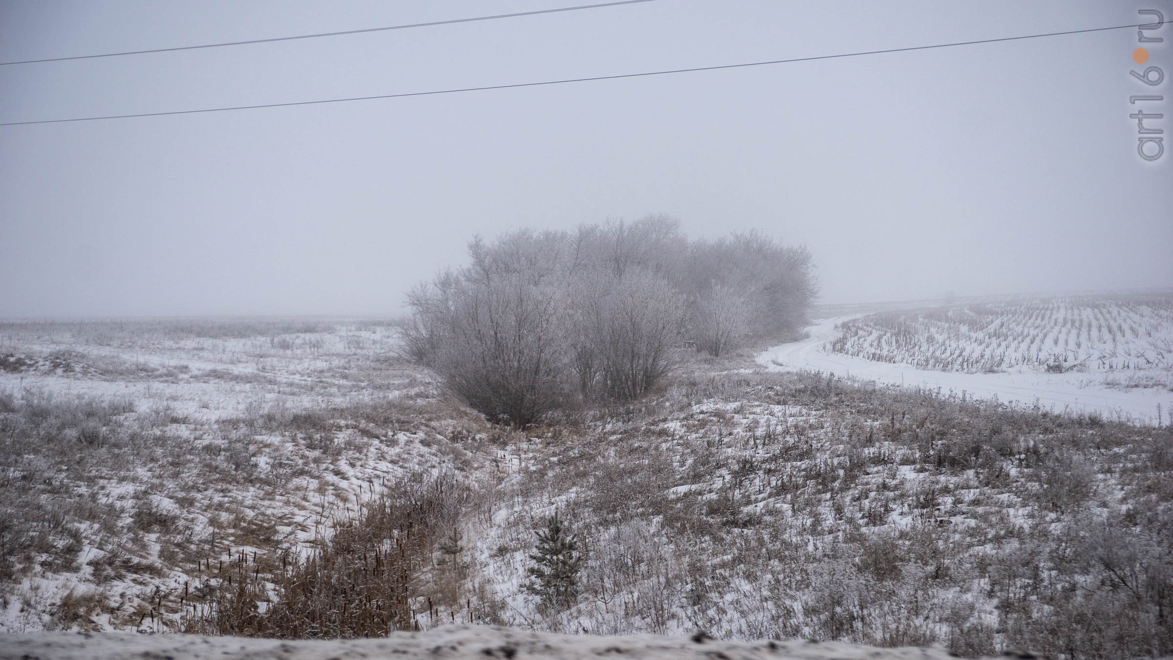 ::Балашов. Зимние пейзажи - 2020