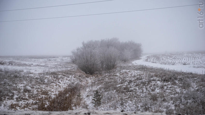 ::Балашов. Зимние пейзажи - 2020