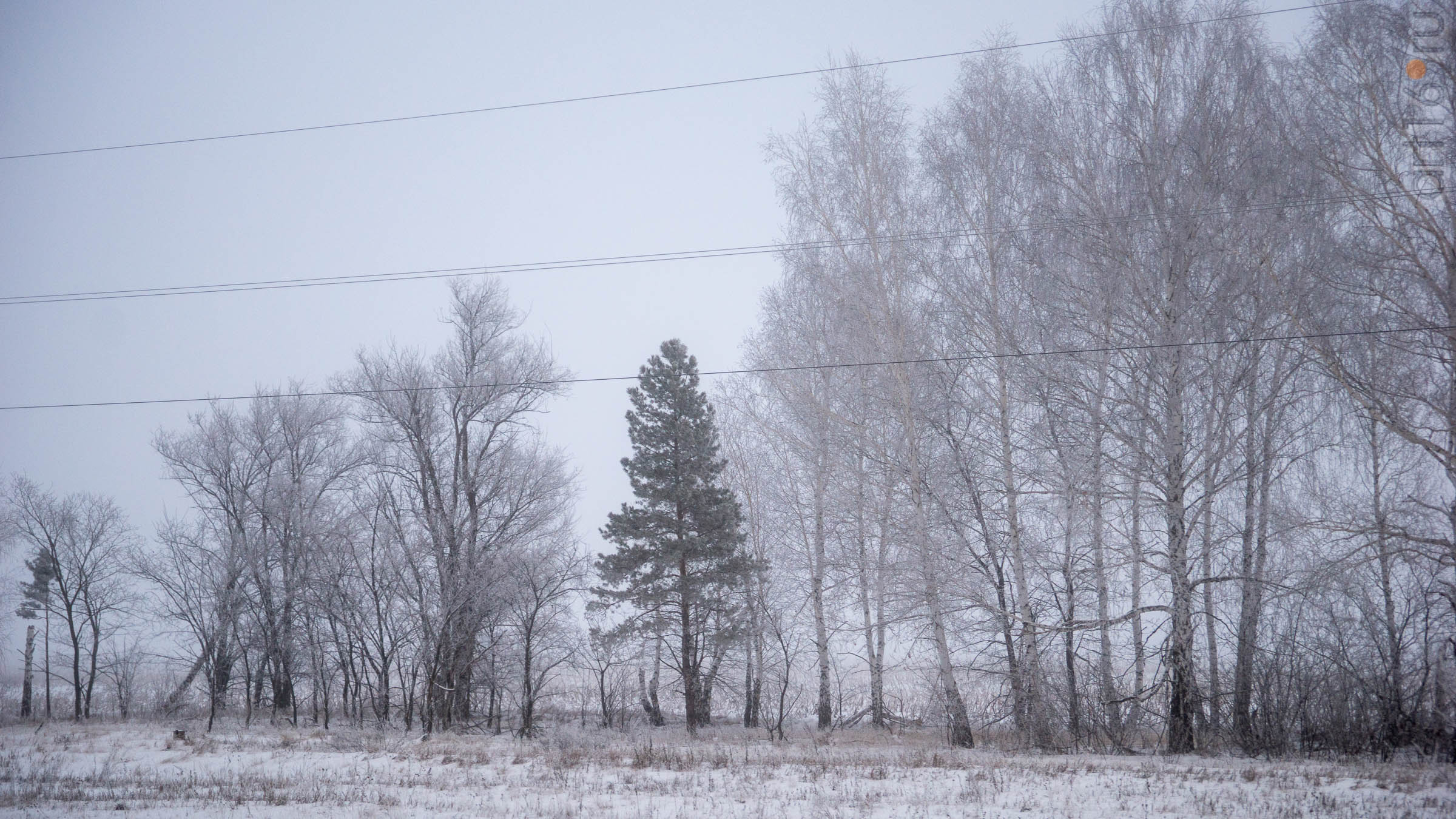 ::Балашов. Зимние пейзажи - 2020