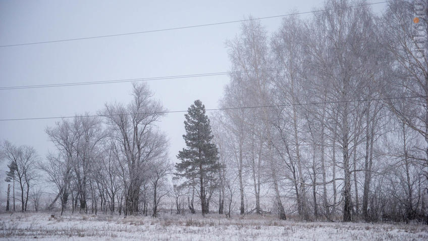 ::Балашов. Зимние пейзажи - 2020