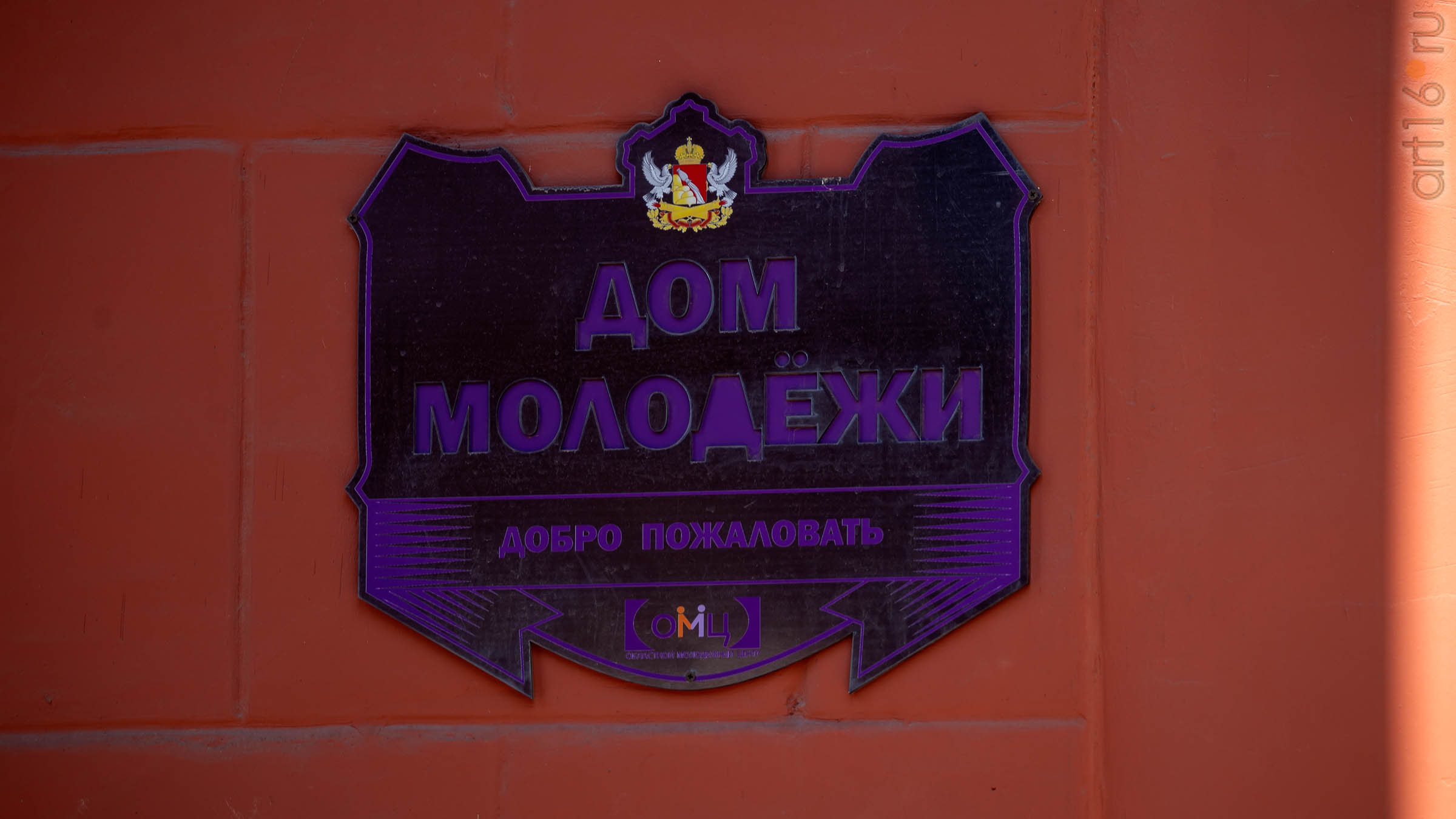 Дом Молодежи (вывеска)::Воронеж 20.07.2019