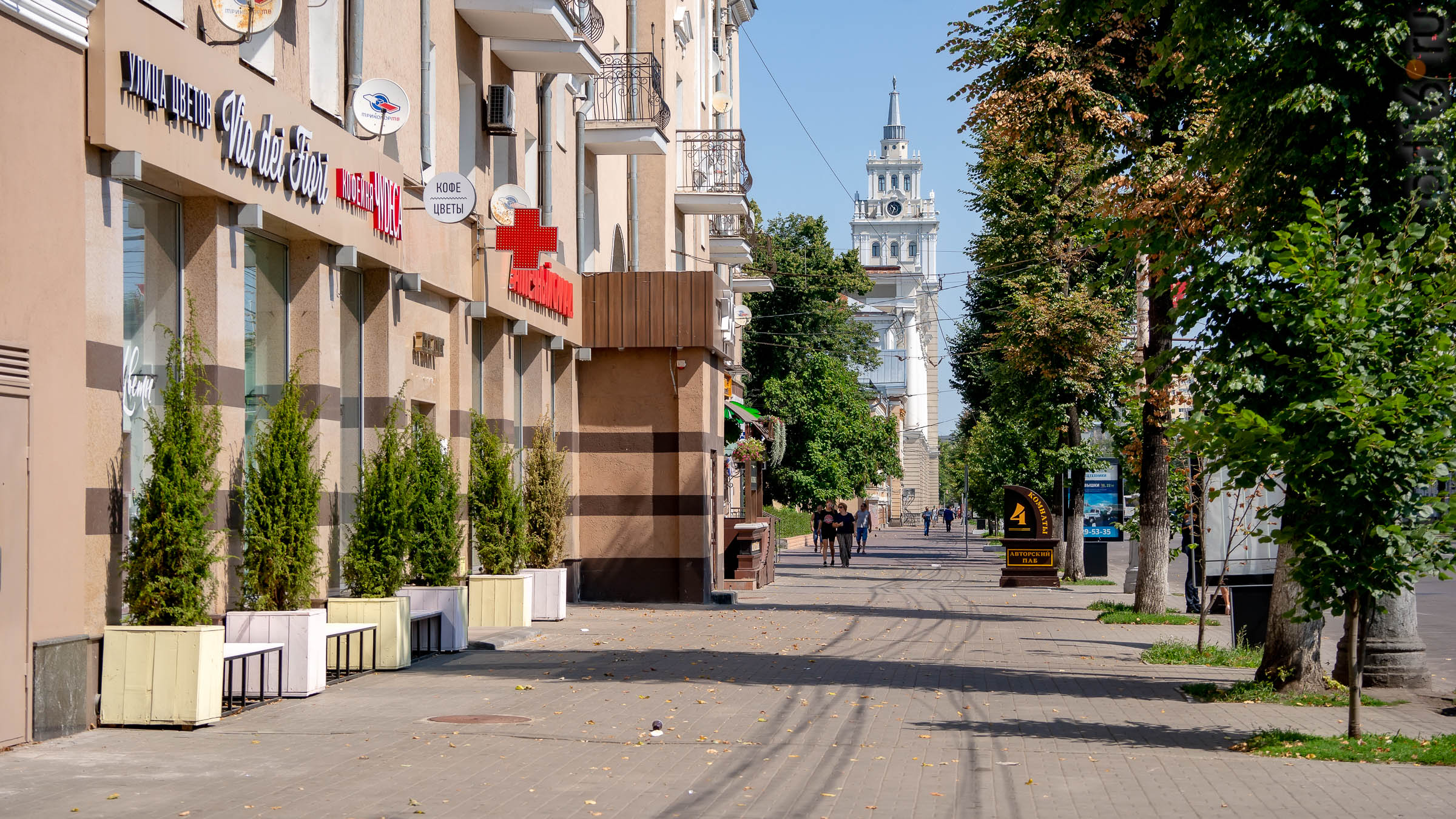 Проспект Революции::Воронеж 20.07.2019